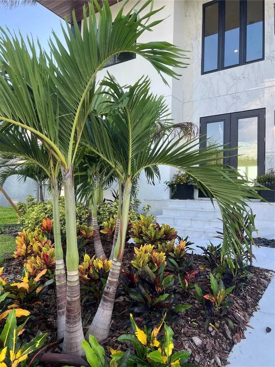 3420 CHANNELSIDE COURT, SAFETY HARBOR, FL, photo 14 of 99