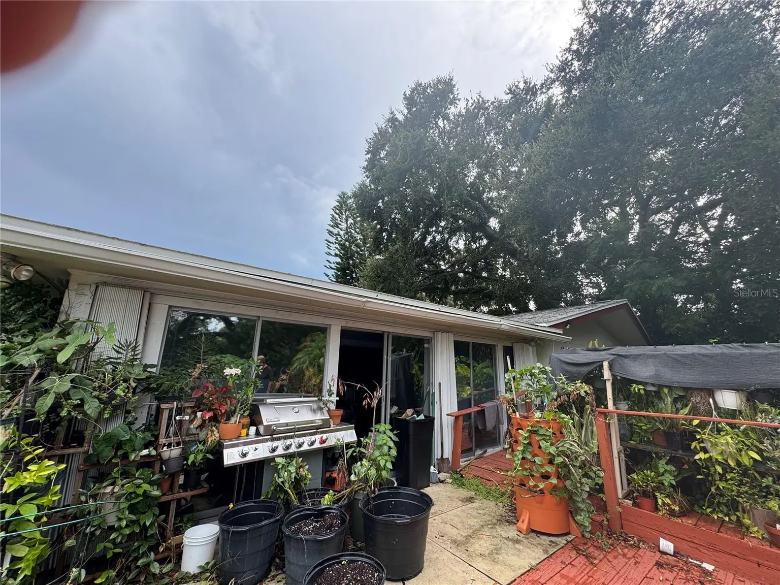 1680 SUNSET POINT ROAD, CLEARWATER, FL, photo 18 of 19