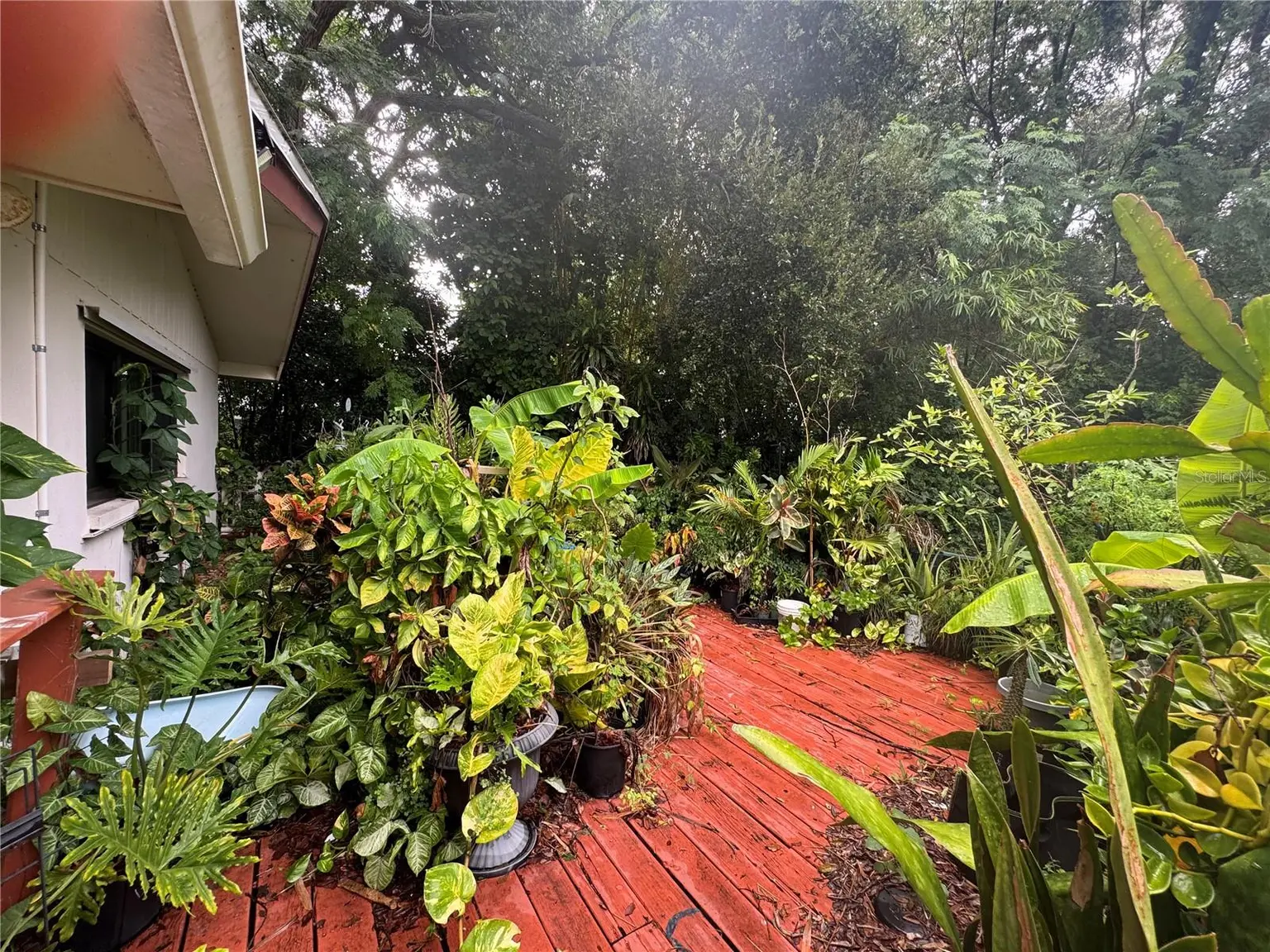 1680 SUNSET POINT ROAD, CLEARWATER, FL, photo 19 of 19
