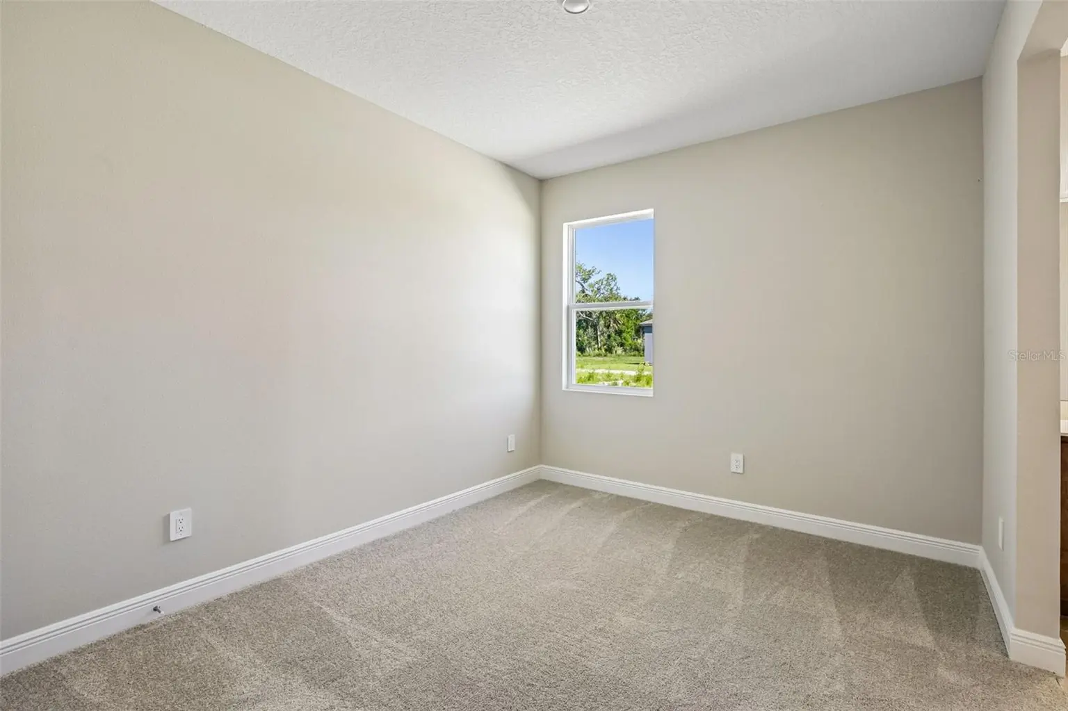 10037 HIDDEN HAMMOCK LOOP, PARRISH, FL, photo 9 of 29