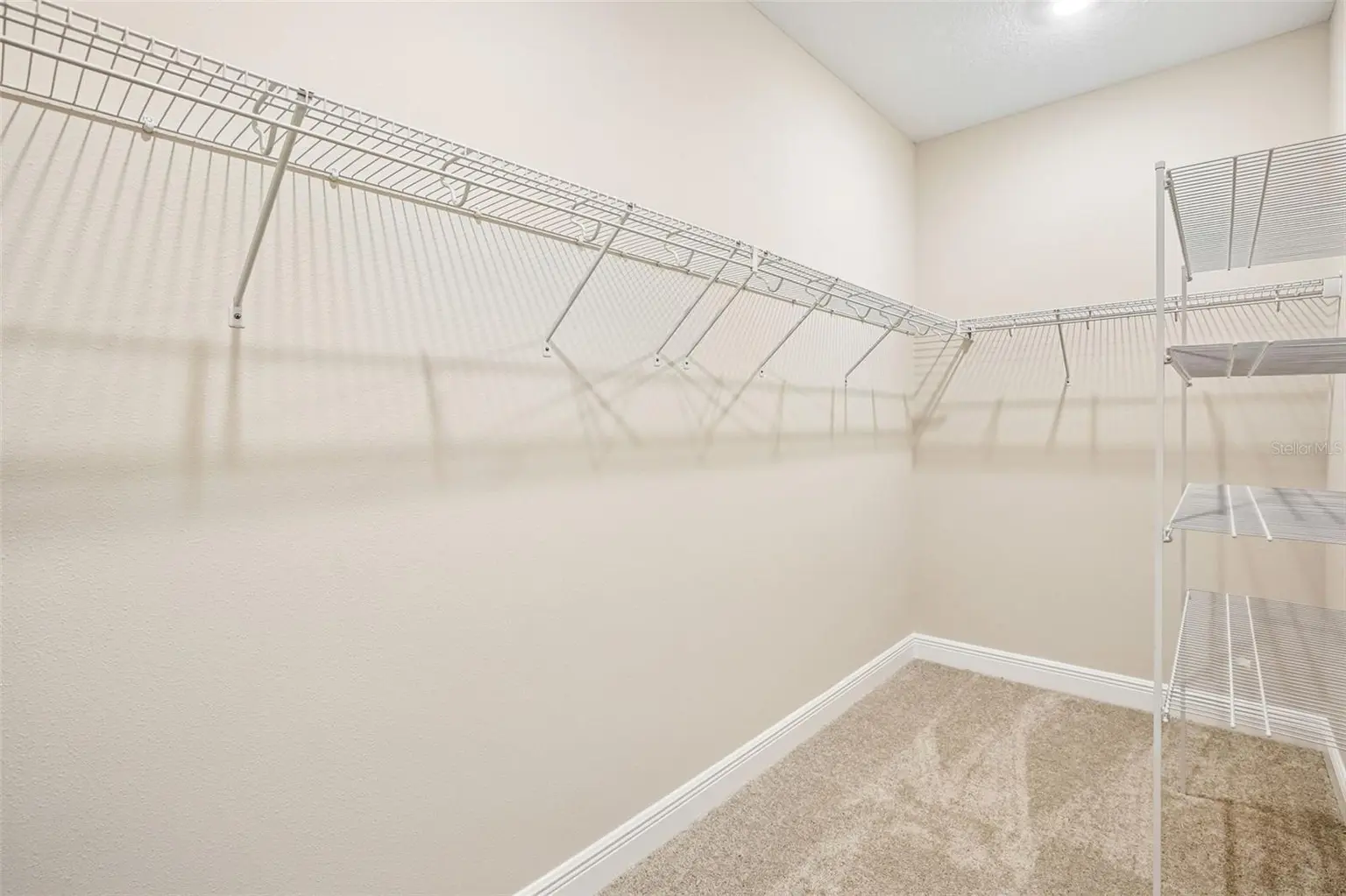 10037 HIDDEN HAMMOCK LOOP, PARRISH, FL, photo 24 of 29