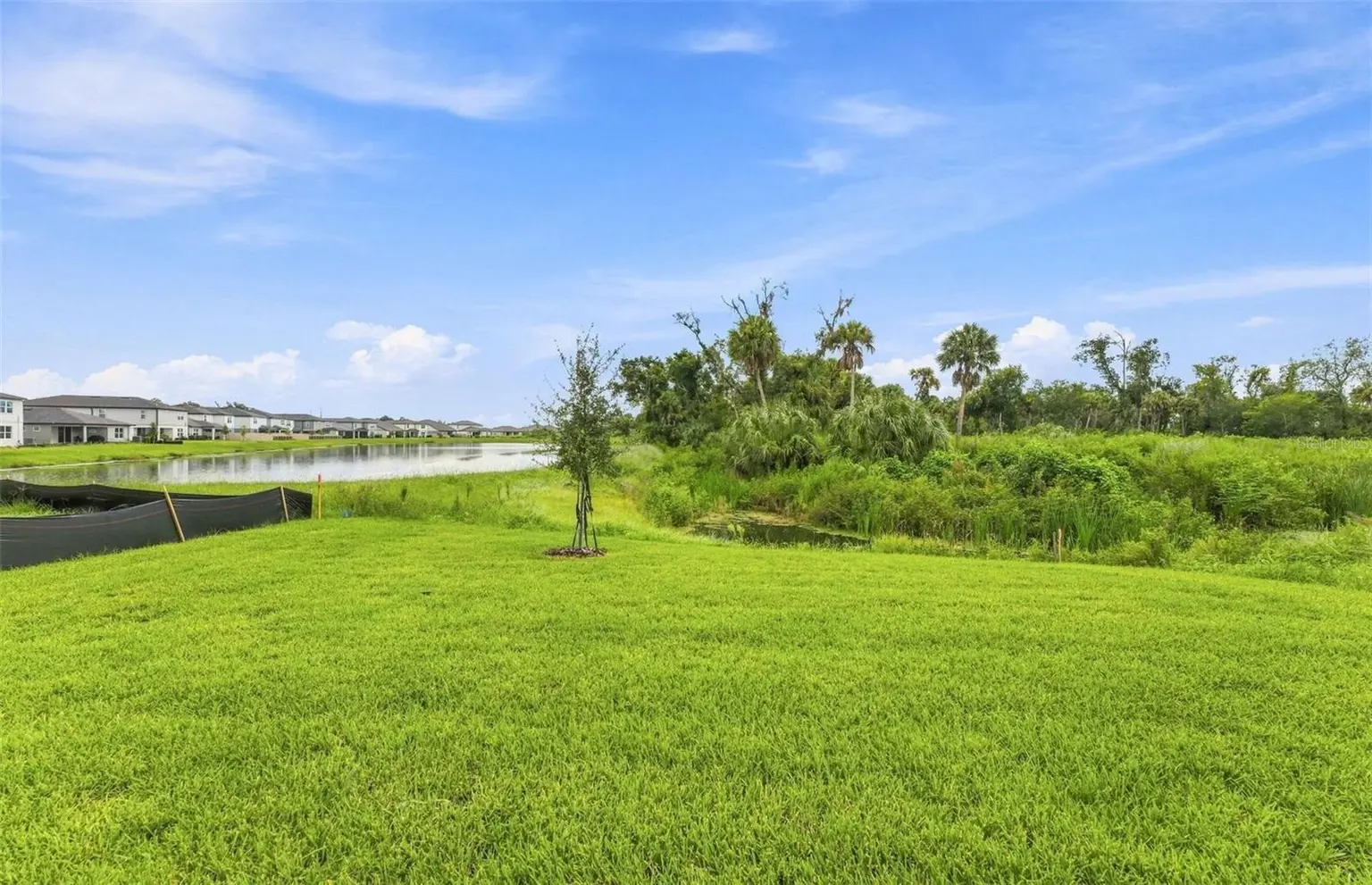 9877 TRELLIS VINE WAY, PARRISH, FL, photo 18 of 23
