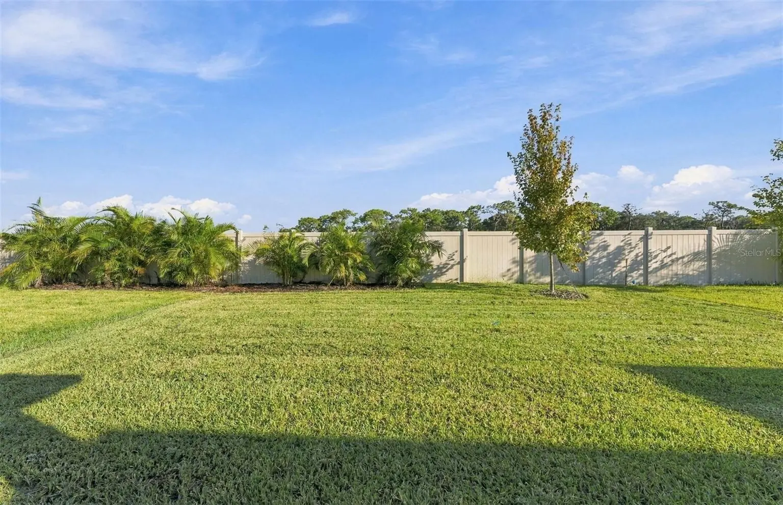 9748 CRESCENT MOON DRIVE, RIVERVIEW, FL, photo 22 of 39
