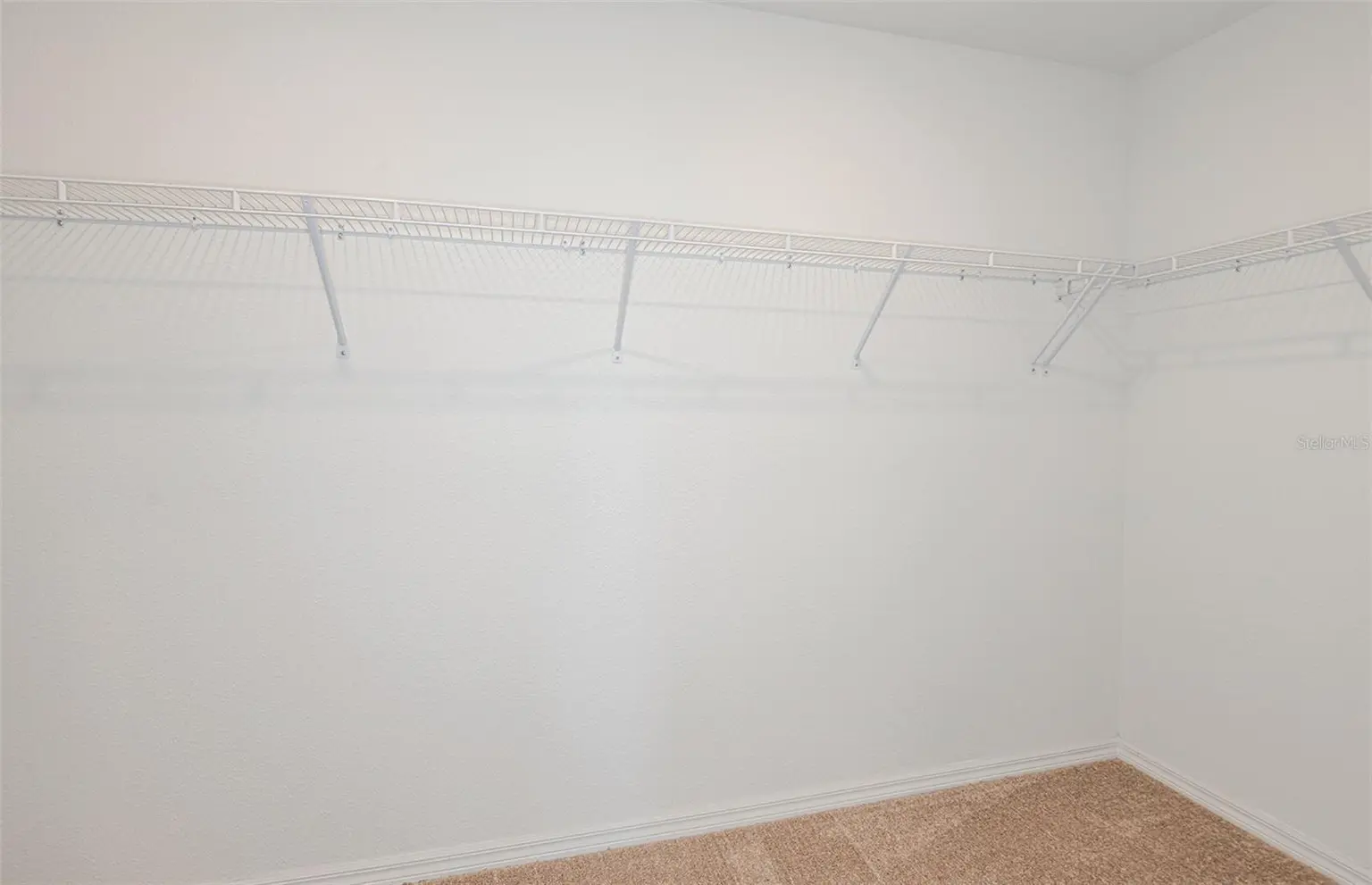 9911 TRELLIS VINE WAY, PARRISH, FL, photo 12 of 24