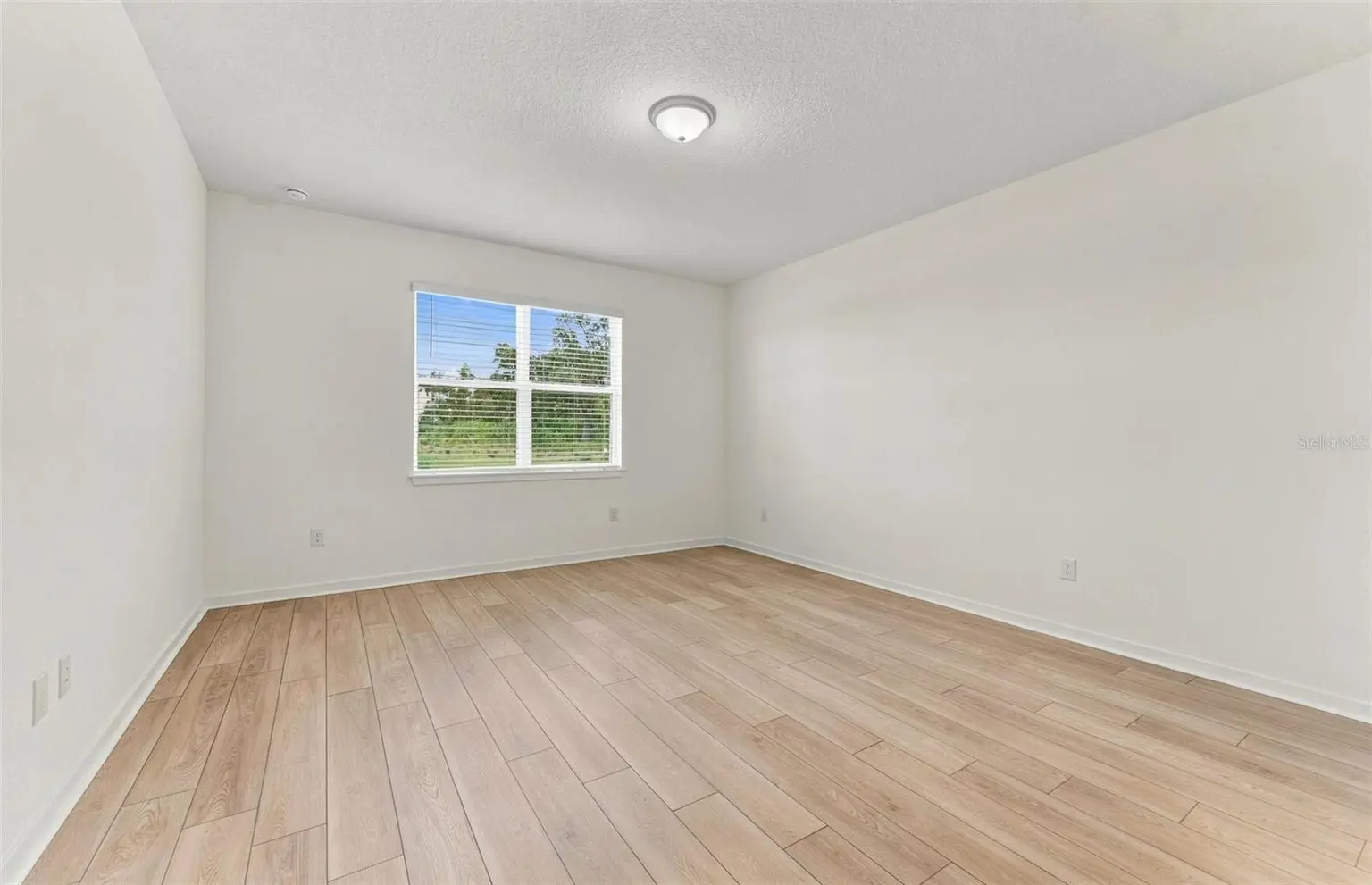 10037 TRELLIS VINE WAY, PARRISH, FL, photo 7 of 20