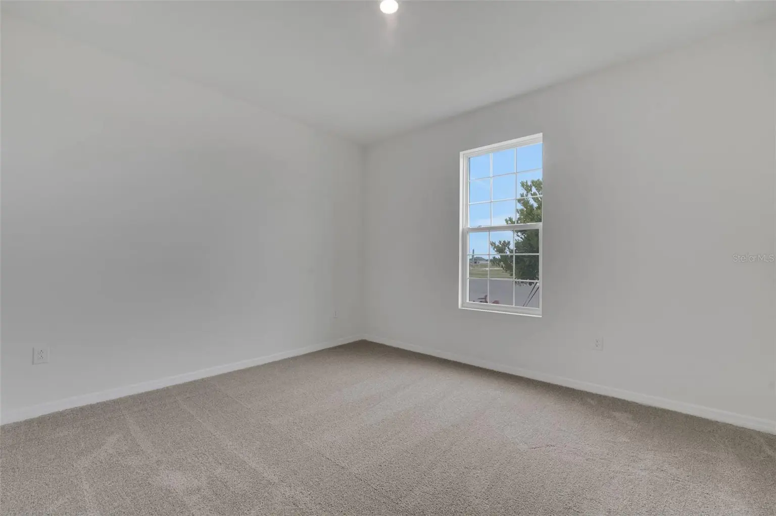 7835 GLEN LILY PLACE, PARRISH, FL, photo 10 of 40