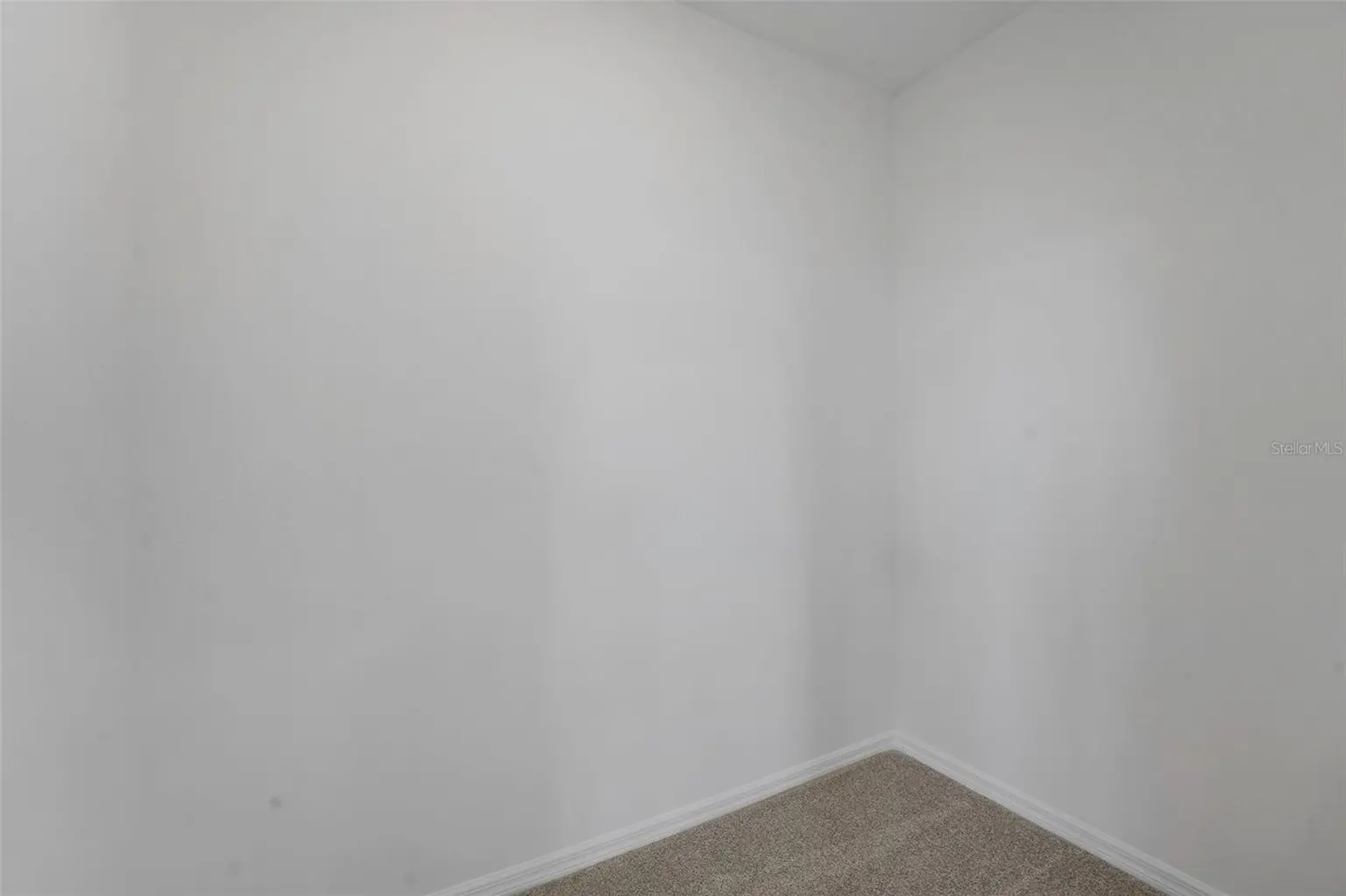 7819 GLEN LILY PLACE, PARRISH, FL, photo 7 of 48