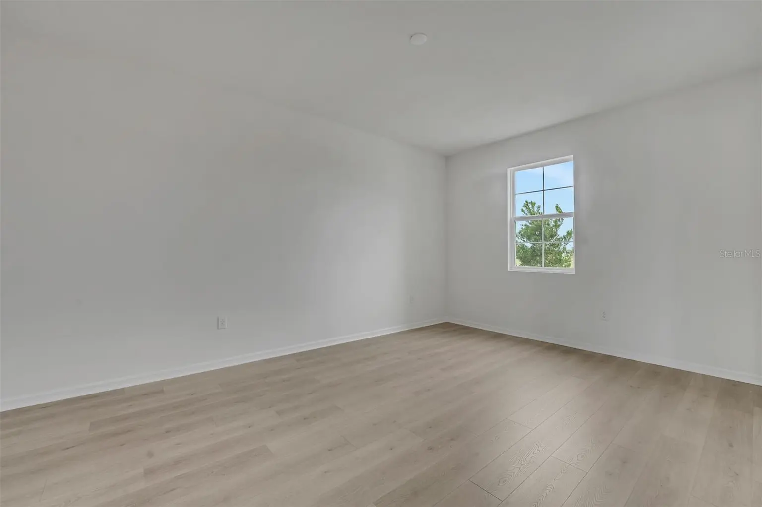 7819 GLEN LILY PLACE, PARRISH, FL, photo 10 of 48