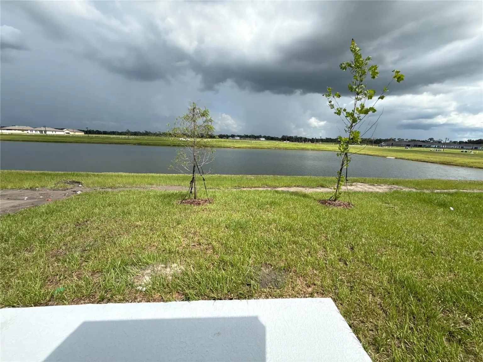 10535 CURVING CREEK LOOP, PARRISH, FL, photo 4 of 7
