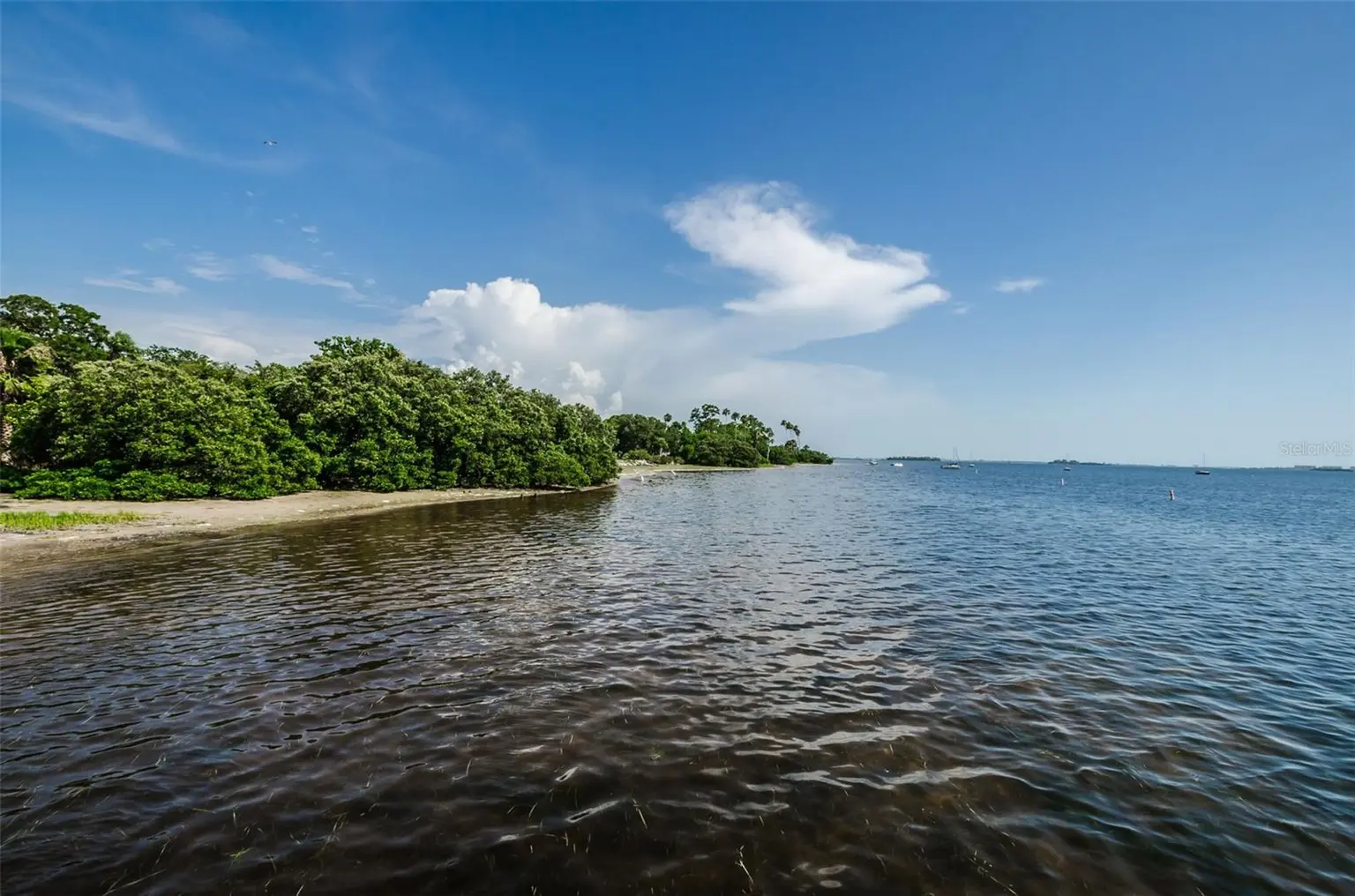 383 GEORGIA AVENUE, CRYSTAL BEACH, FL, photo 54 of 86