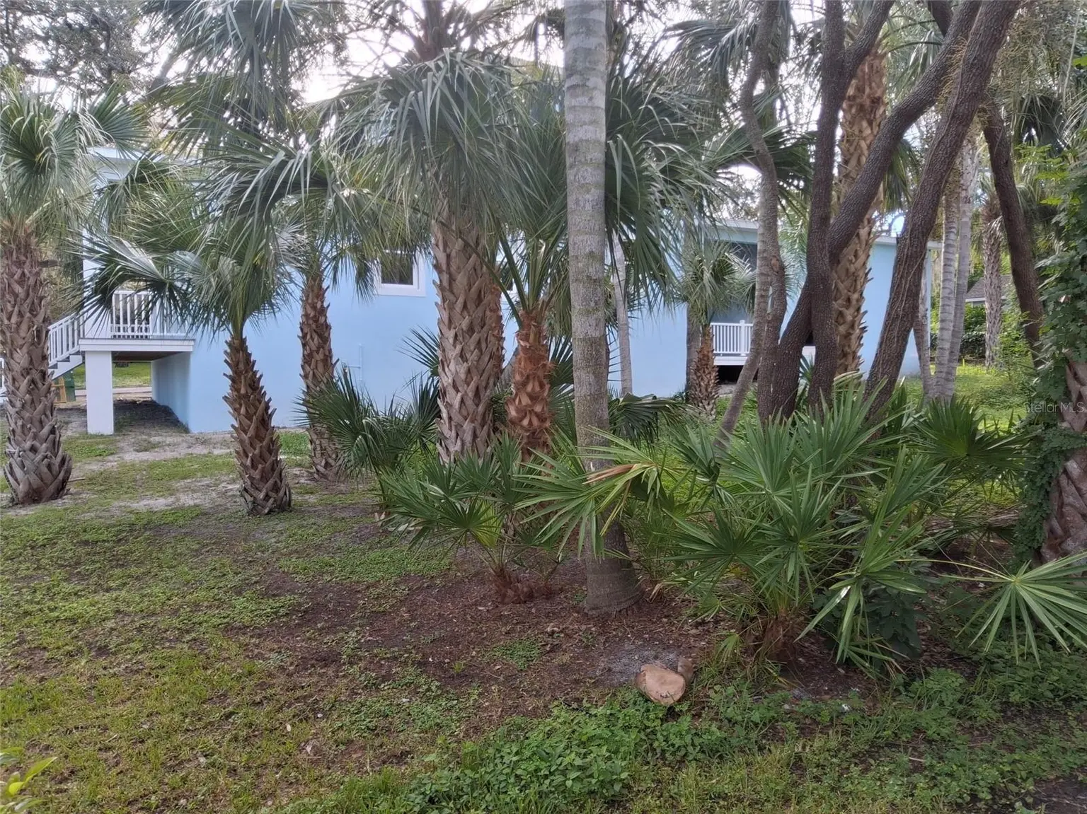 383 GEORGIA AVENUE, CRYSTAL BEACH, FL, photo 61 of 86