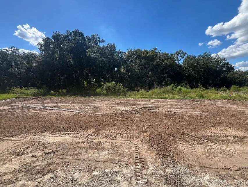 15082 RIDER PASS DRIVE, LITHIA, FL, photo 7 of 7