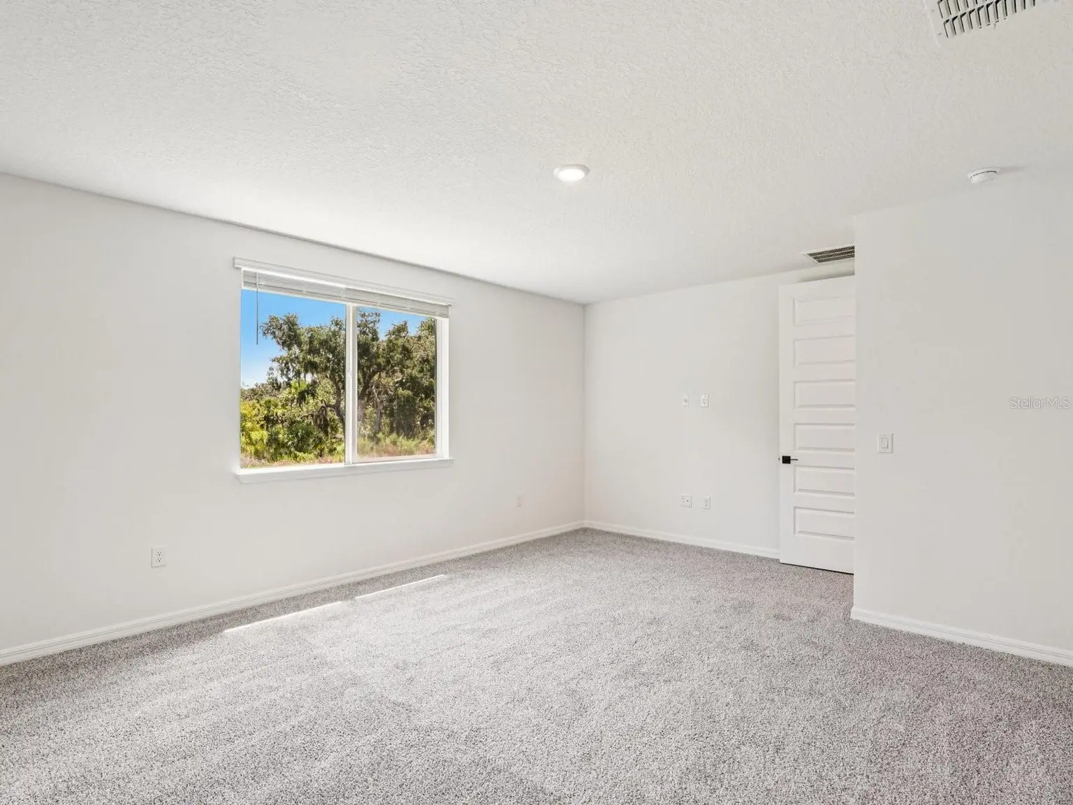 10506 ABUNDANCE GROVE WAY, PARRISH, FL, photo 10 of 11