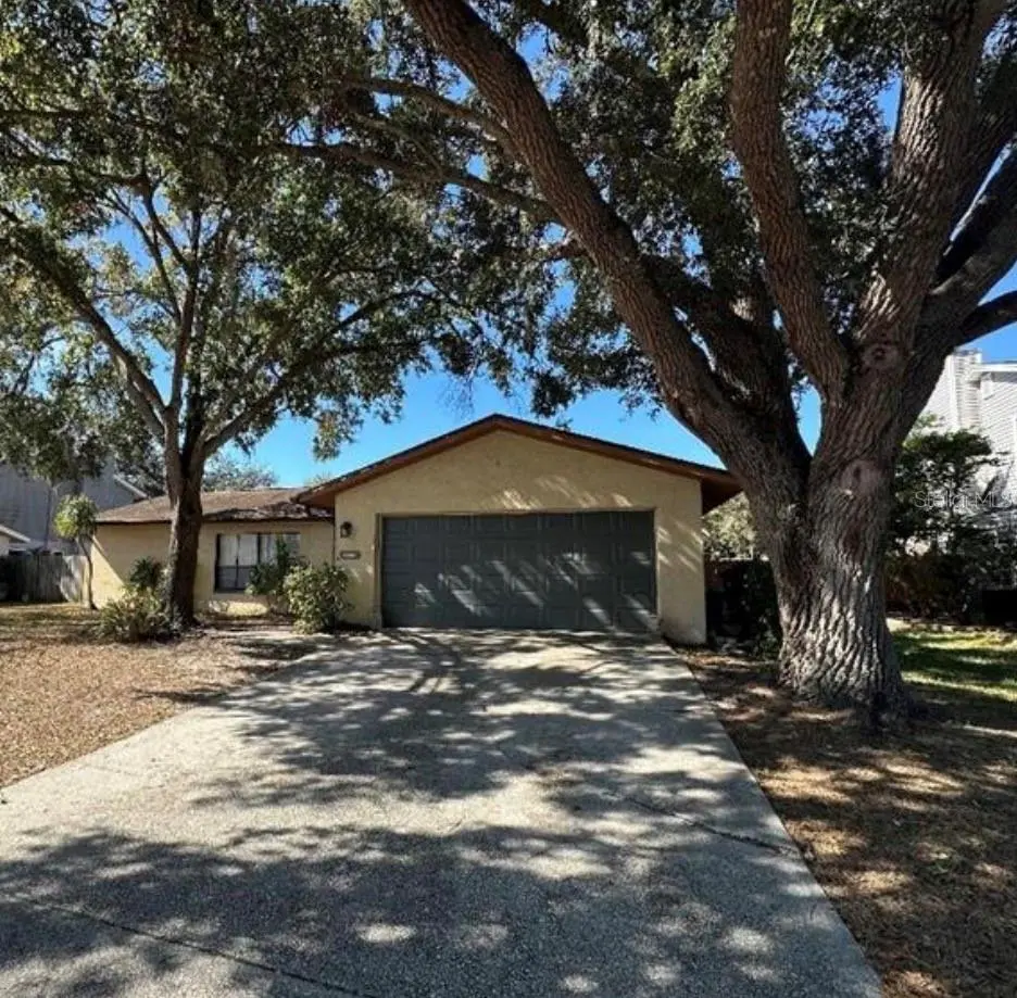 4305 ELLENVILLE PLACE, VALRICO, FL