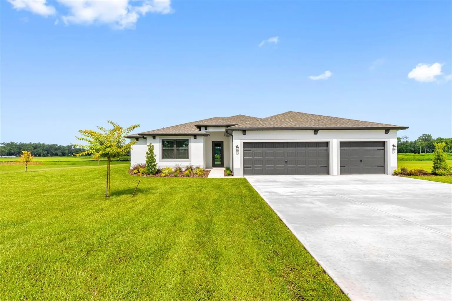 13483 LAKE GALLAGHER DRIVE, DOVER, FL