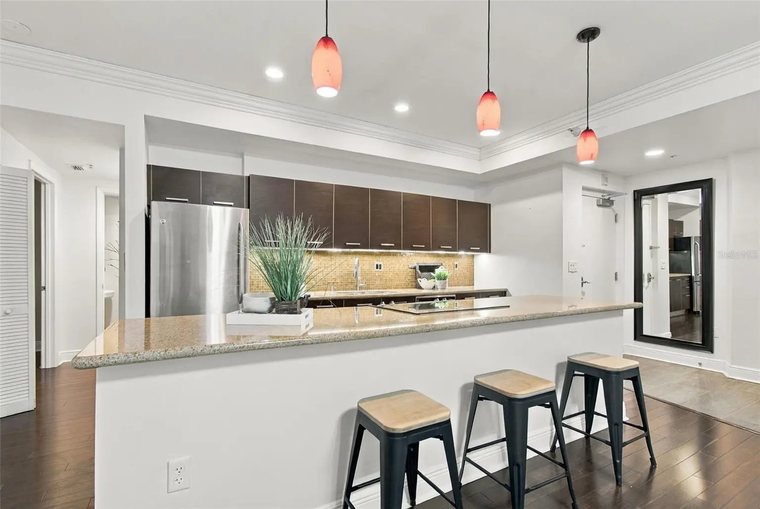 205 5TH AVENUE N #201, ST PETERSBURG, FL, photo 10 of 40