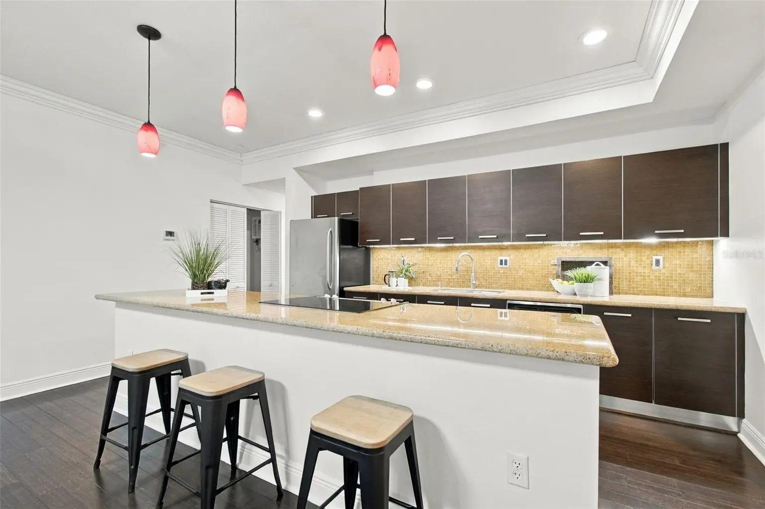 205 5TH AVENUE N #201, ST PETERSBURG, FL, photo 11 of 40