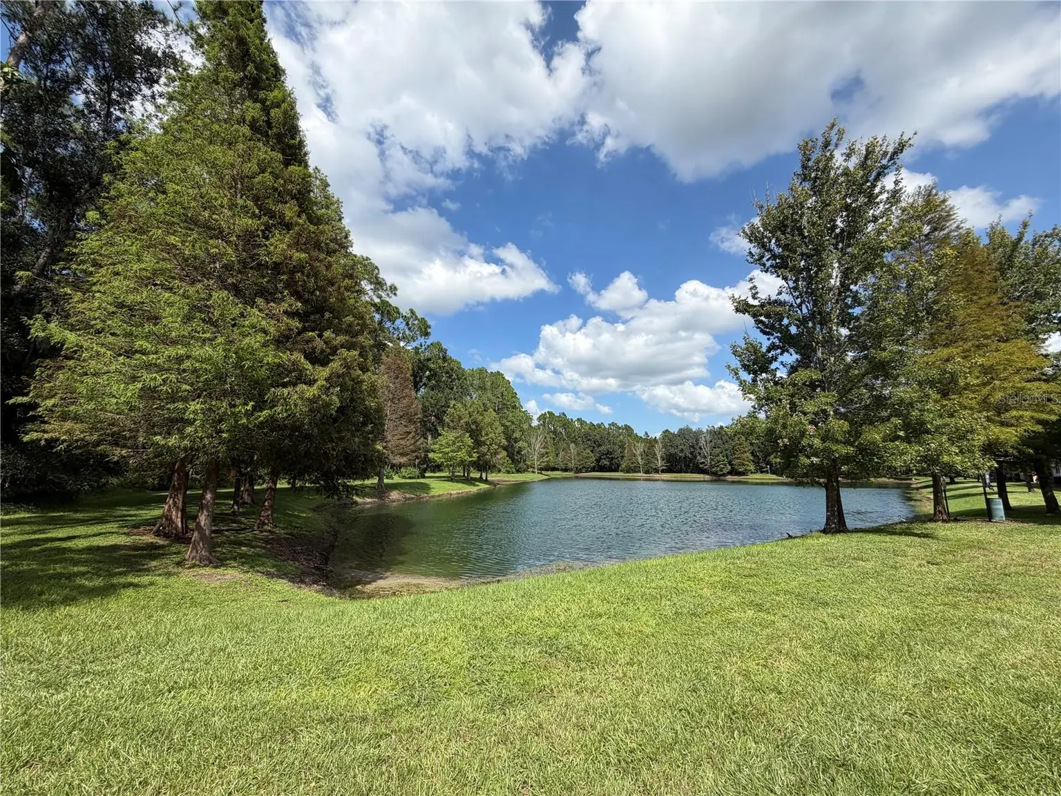 17874 ALTHEA BLUE PLACE, LUTZ, FL, photo 38 of 41
