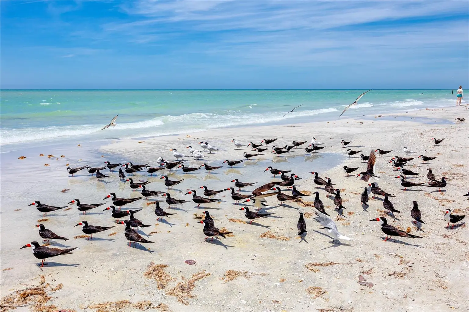 17940 GULF BOULEVARD #17C, REDINGTON SHORES, FL, photo 94 of 96