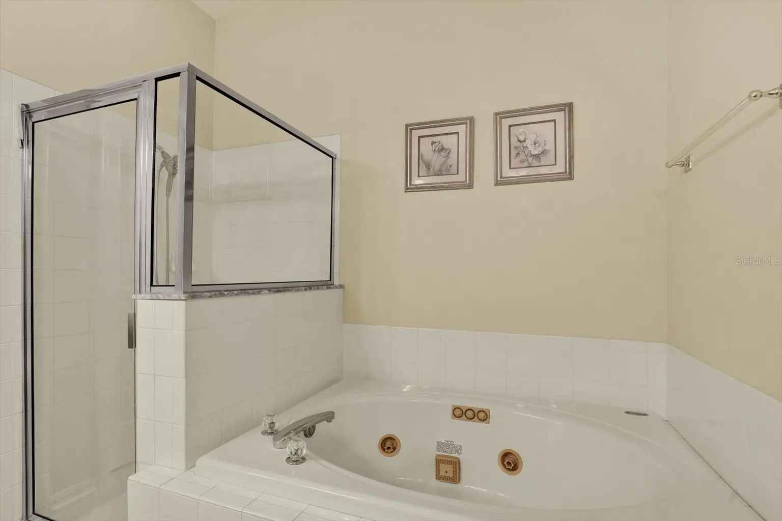 19144 WEYMOUTH DRIVE, LAND O LAKES, FL, photo 20 of 52