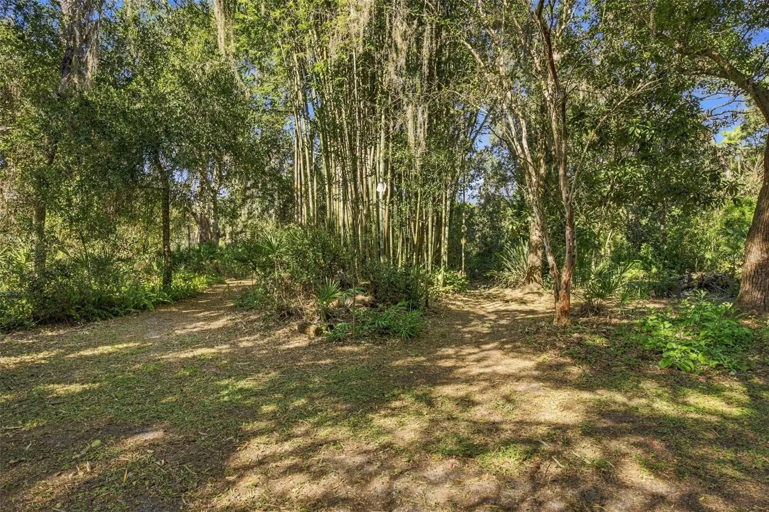 19709 HIAWATHA ROAD, ODESSA, FL, photo 39 of 49