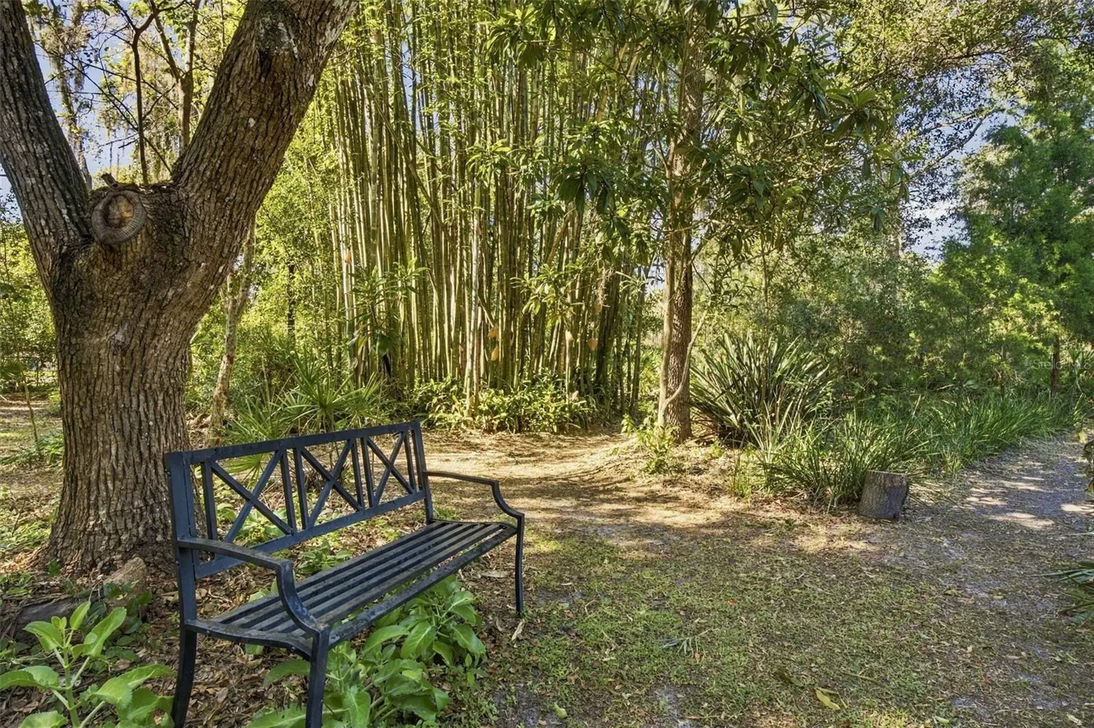 19709 HIAWATHA ROAD, ODESSA, FL, photo 40 of 49