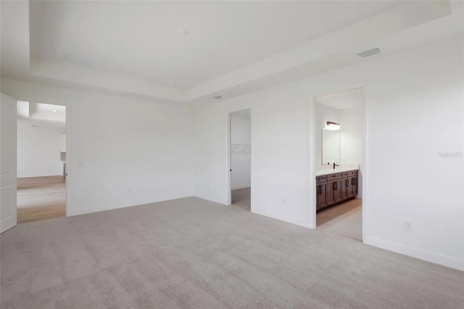 8924 DEEP HORIZON LOOP, PARRISH, FL, photo 25 of 55