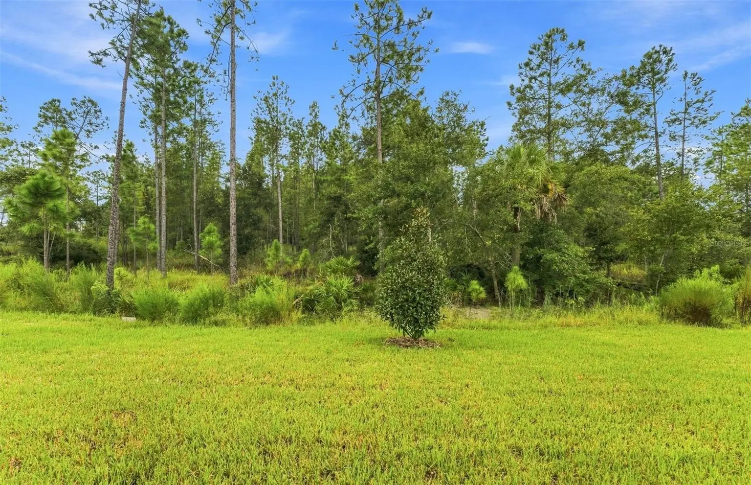35224 COHAGEN TRAIL, ZEPHYRHILLS, FL, photo 26 of 34