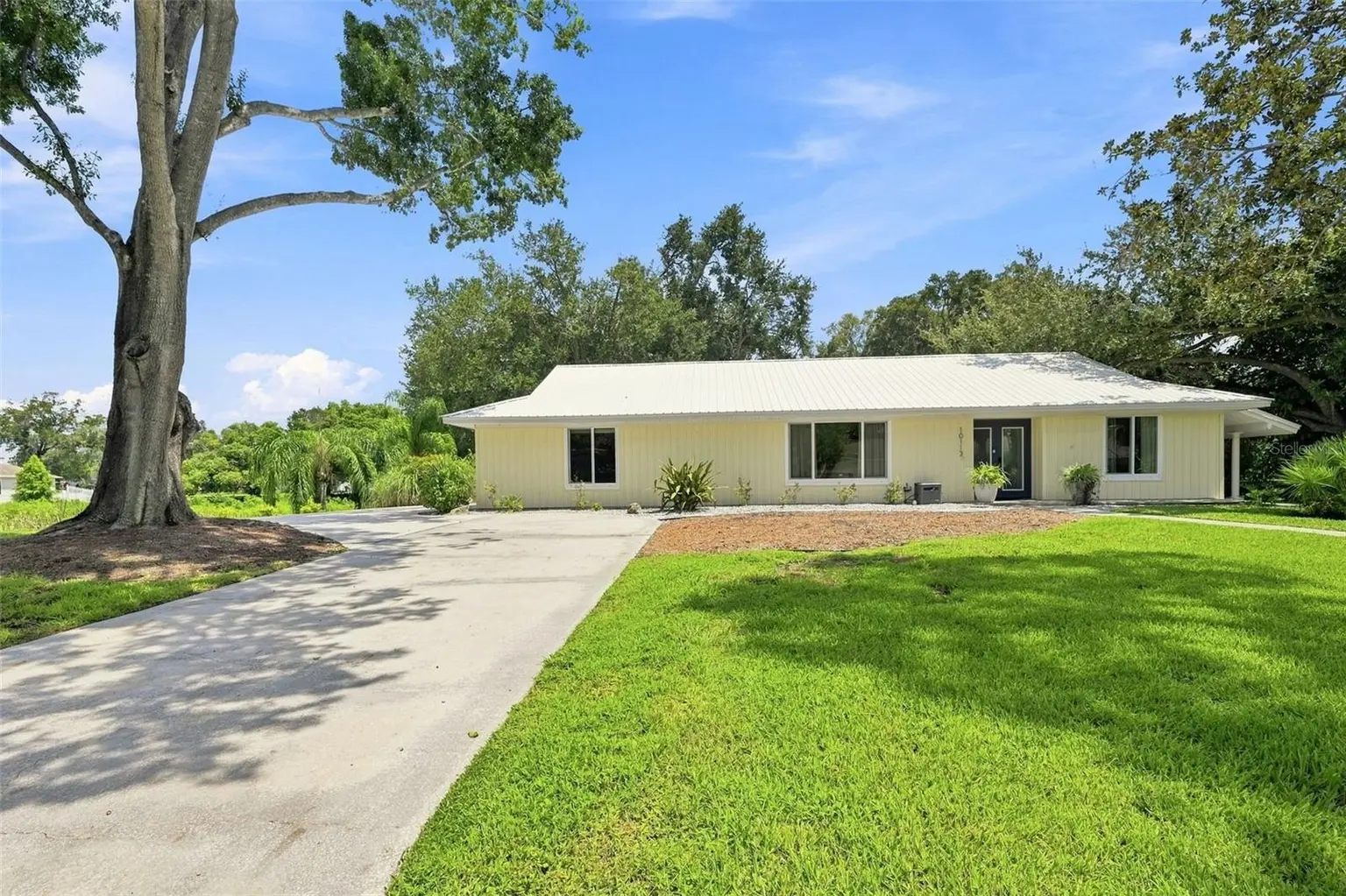 10113 LINDELAAN DRIVE, TAMPA, FL