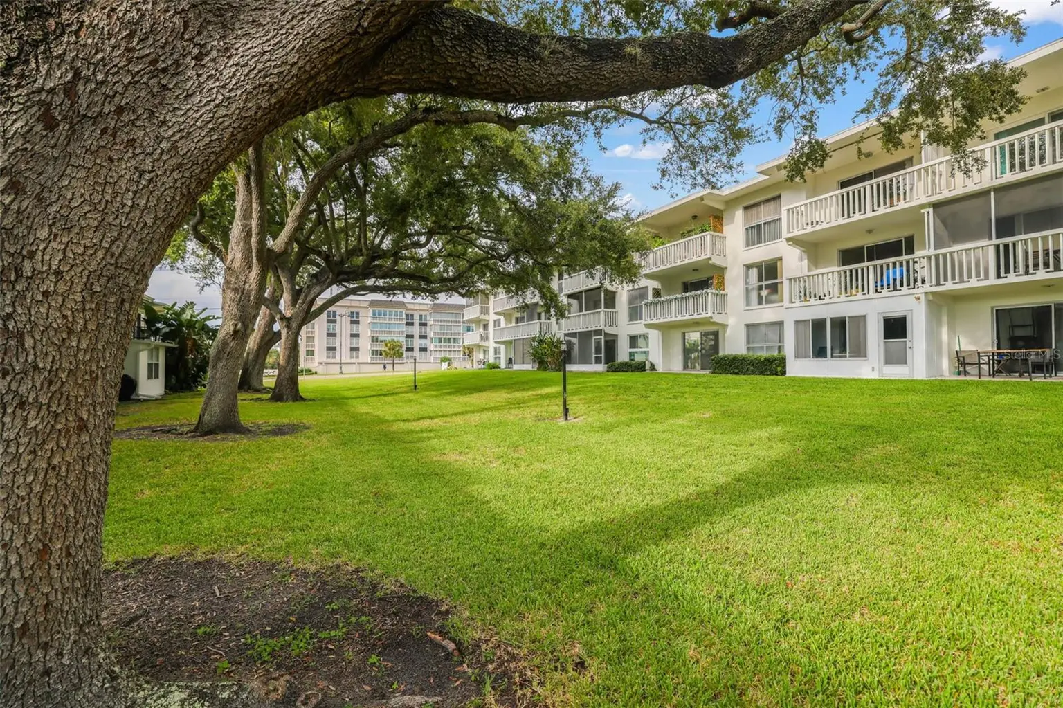 2950 W BAY DRIVE #A5, BELLEAIR BLUFFS, FL, photo 20 of 48