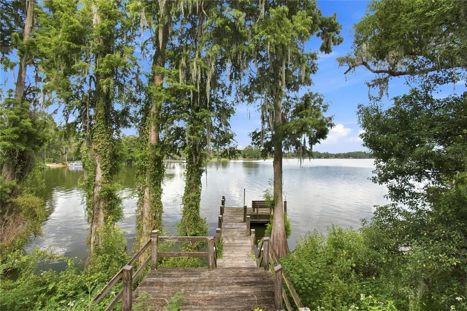12501 APALACHEE PLACE, THONOTOSASSA, FL, photo 12 of 57