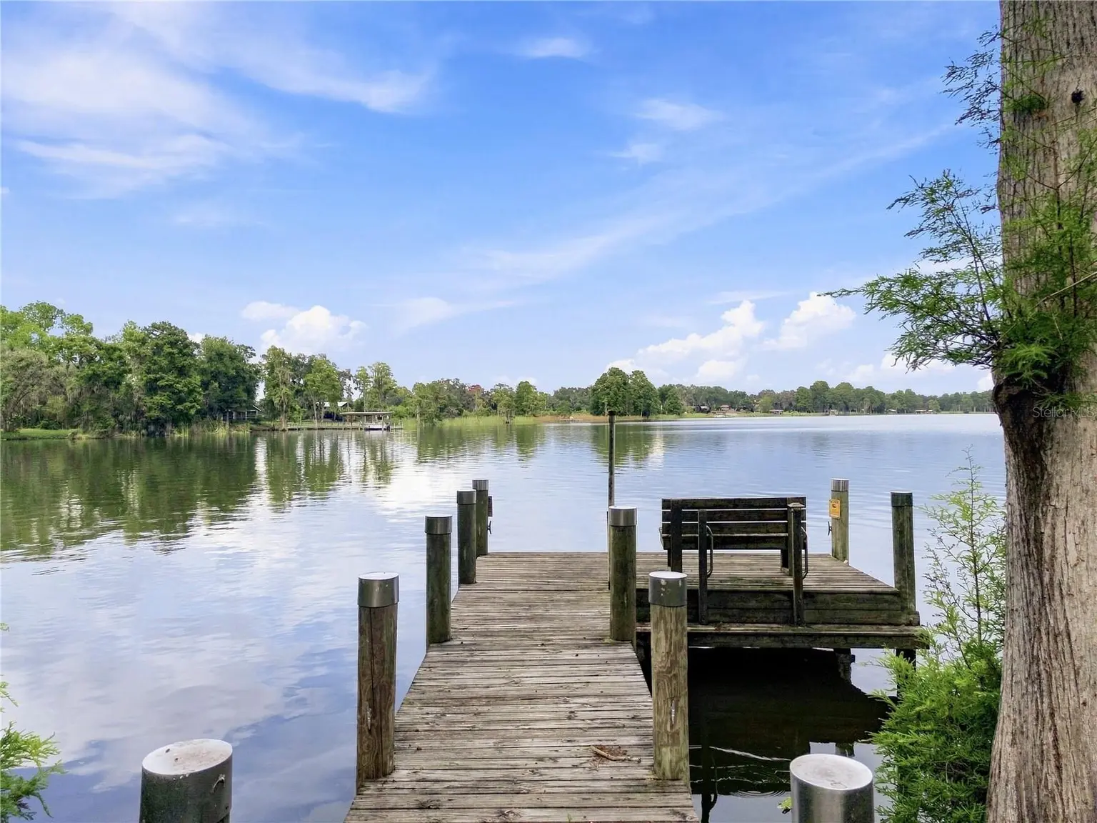 12501 APALACHEE PLACE, THONOTOSASSA, FL, photo 13 of 57