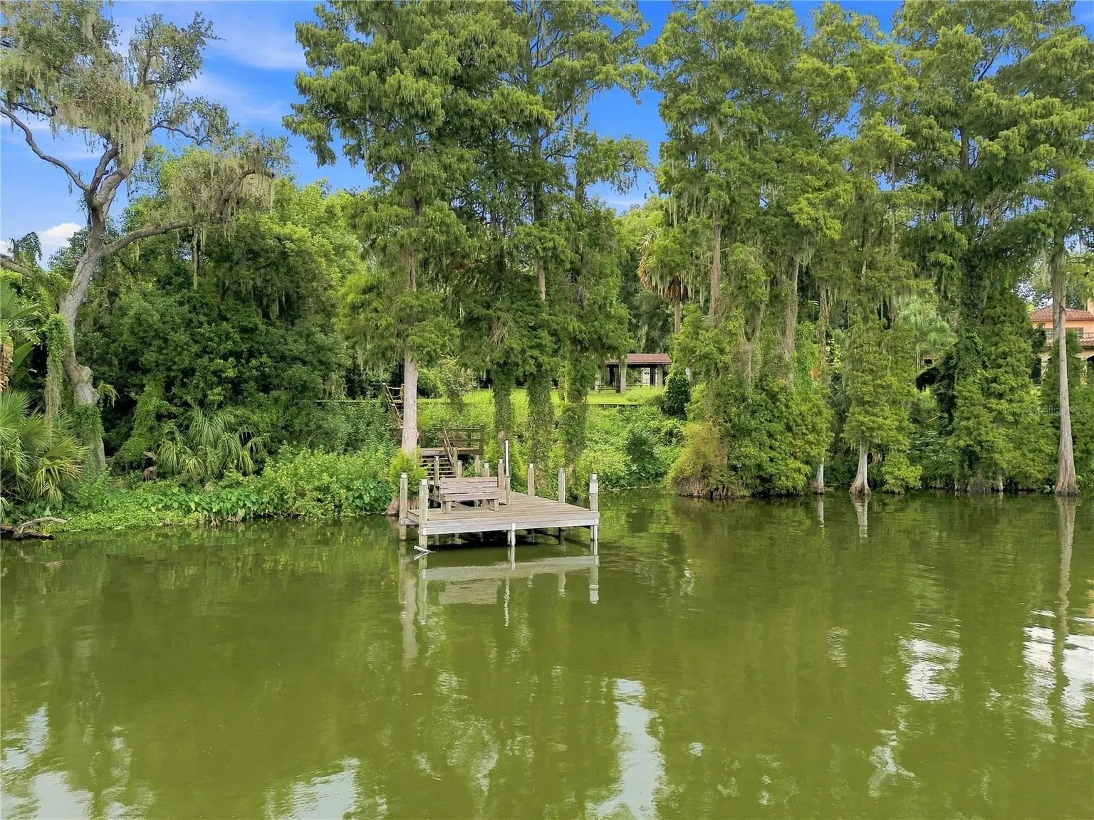 12501 APALACHEE PLACE, THONOTOSASSA, FL, photo 15 of 57