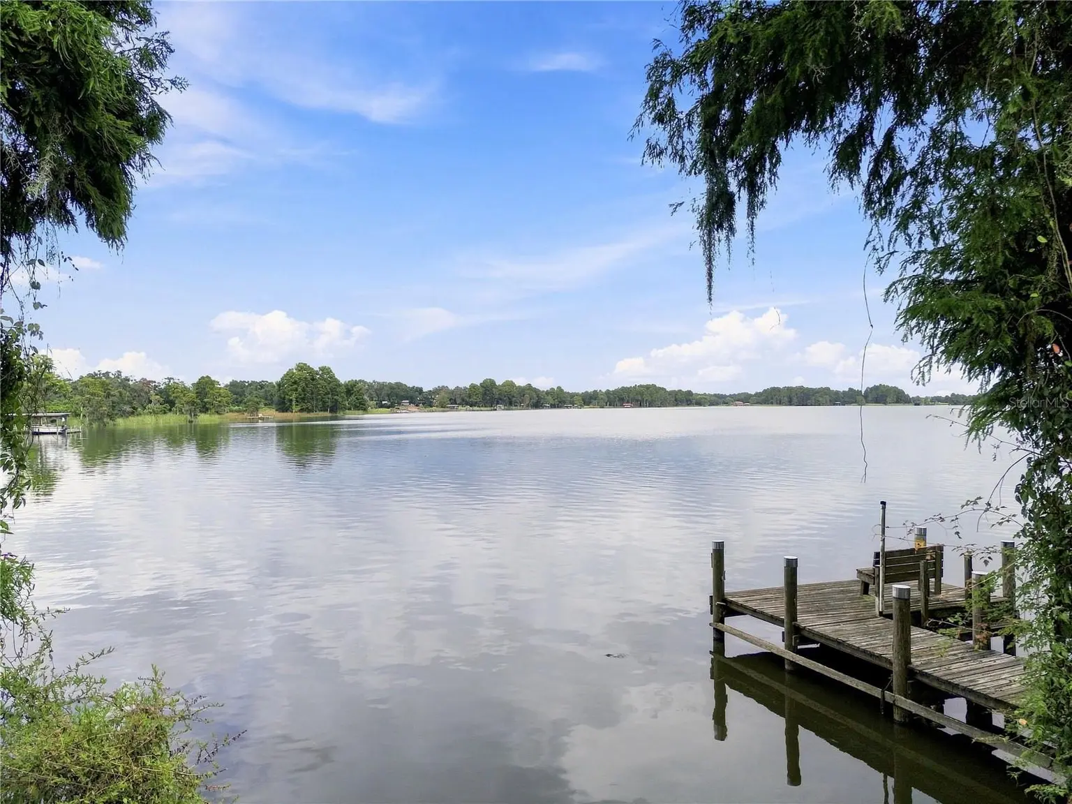 12501 APALACHEE PLACE, THONOTOSASSA, FL, photo 16 of 57