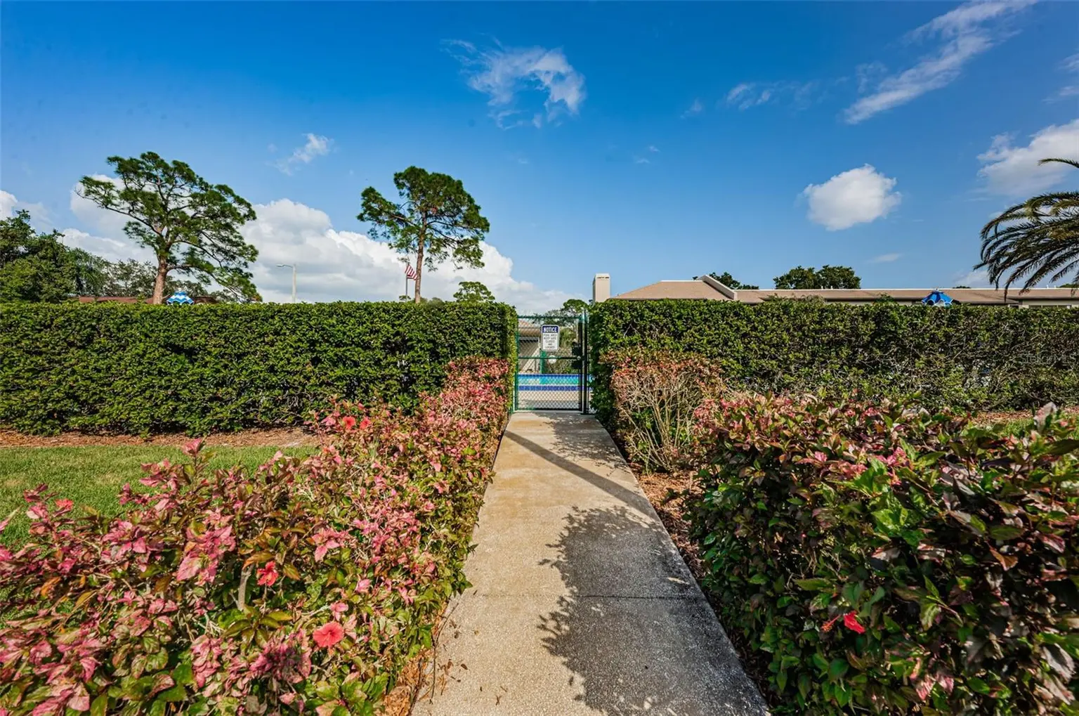 221 NINA WAY #61, OLDSMAR, FL, photo 22 of 27