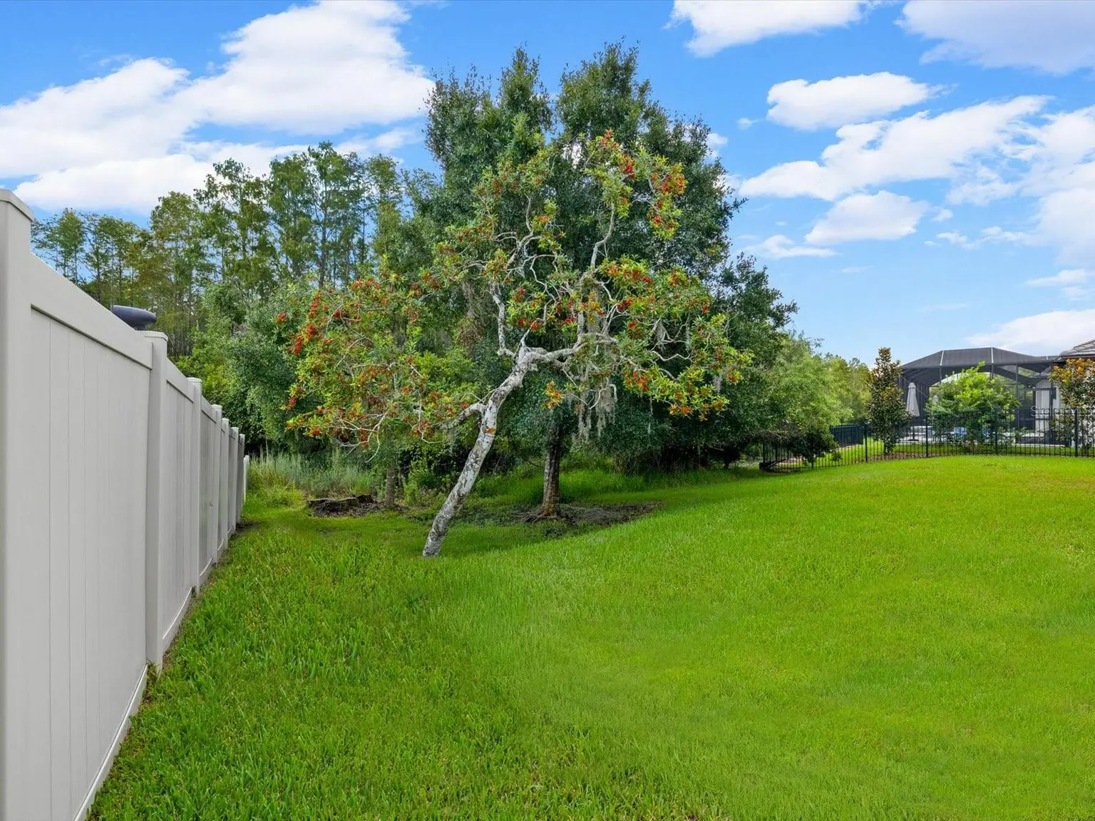 6022 MARSH TRAIL DRIVE, ODESSA, FL, photo 62 of 96