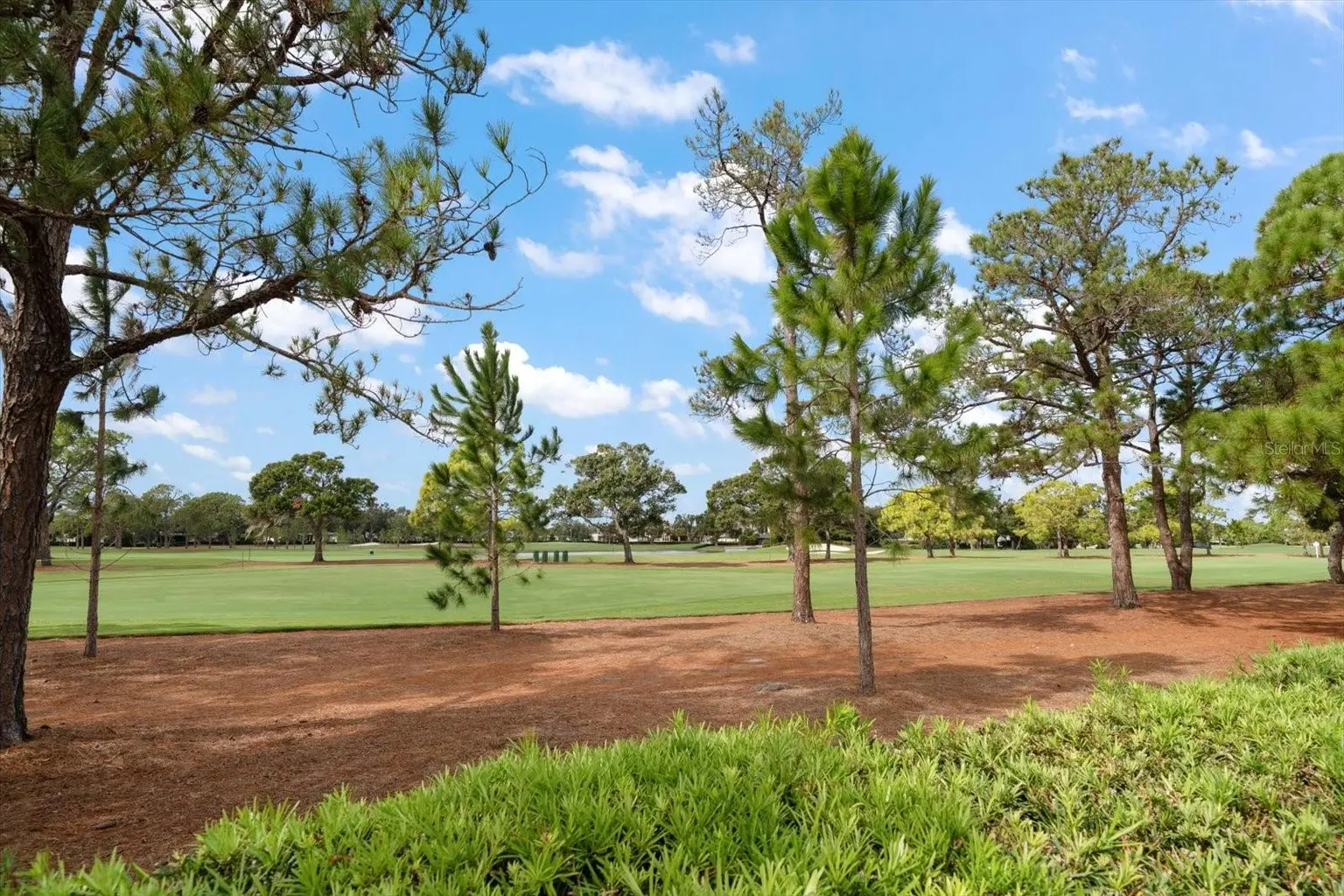 8 PELICAN PLACE #8, BELLEAIR, FL, photo 34 of 35