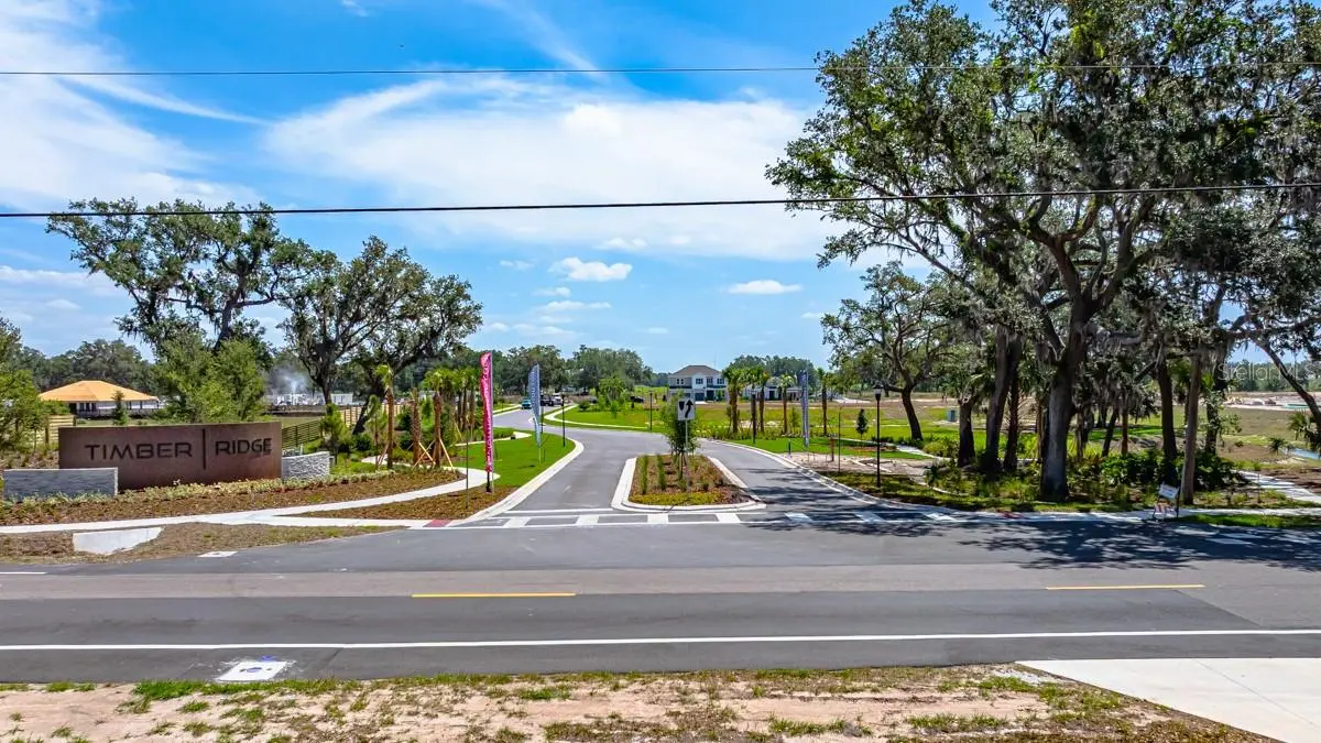 3022 PARAPET TERRACE PLACE, PLANT CITY, FL, photo 21 of 23