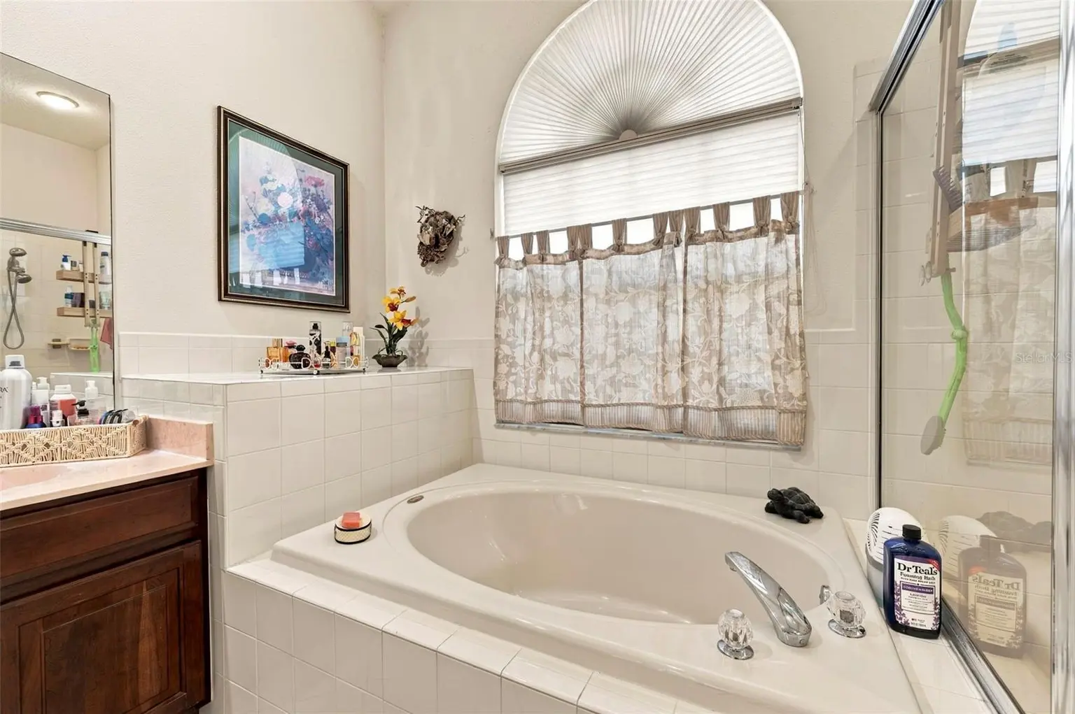 23442 VISTAMAR COURT, LAND O LAKES, FL, photo 19 of 75