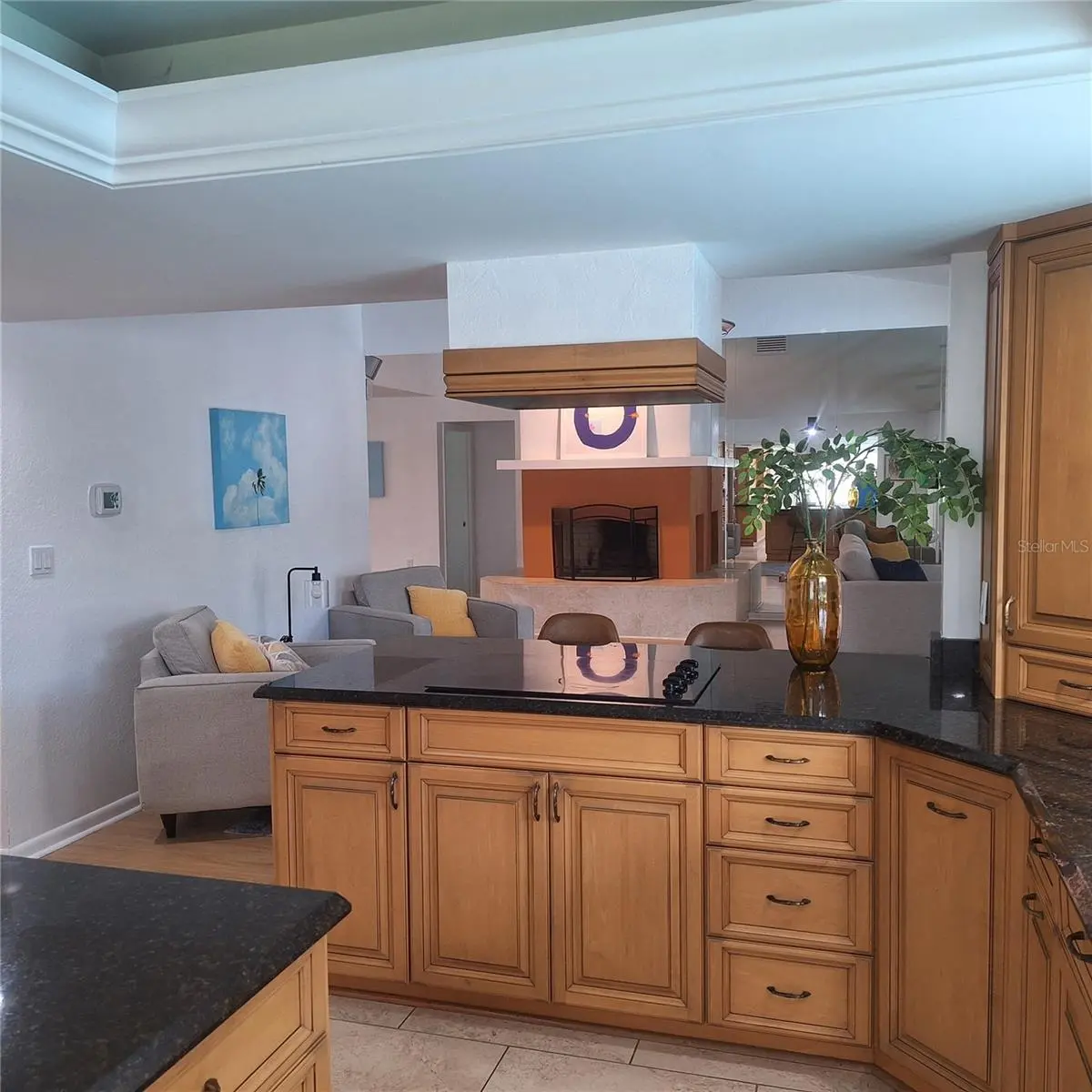 267 MONTE CRISTO BOULEVARD, TIERRA VERDE, FL, photo 18 of 61