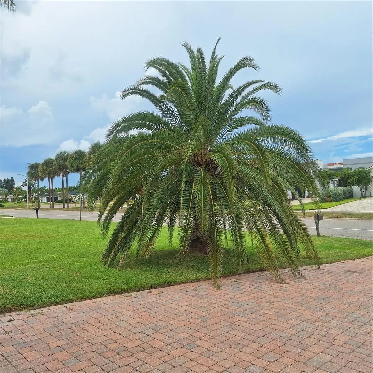 267 MONTE CRISTO BOULEVARD, TIERRA VERDE, FL, photo 50 of 61