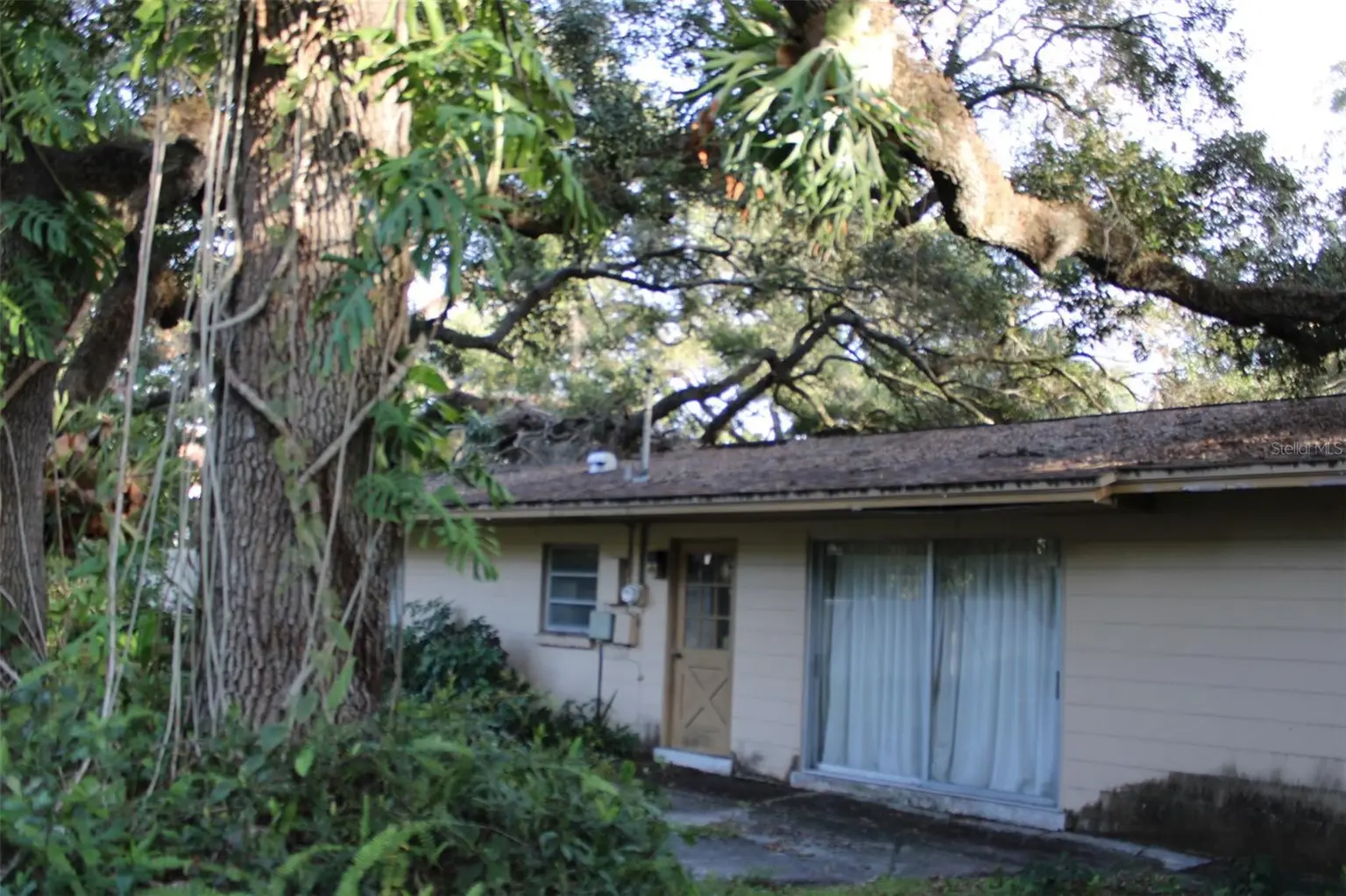 4417 W WATROUS AVENUE, TAMPA, FL, photo 12 of 12