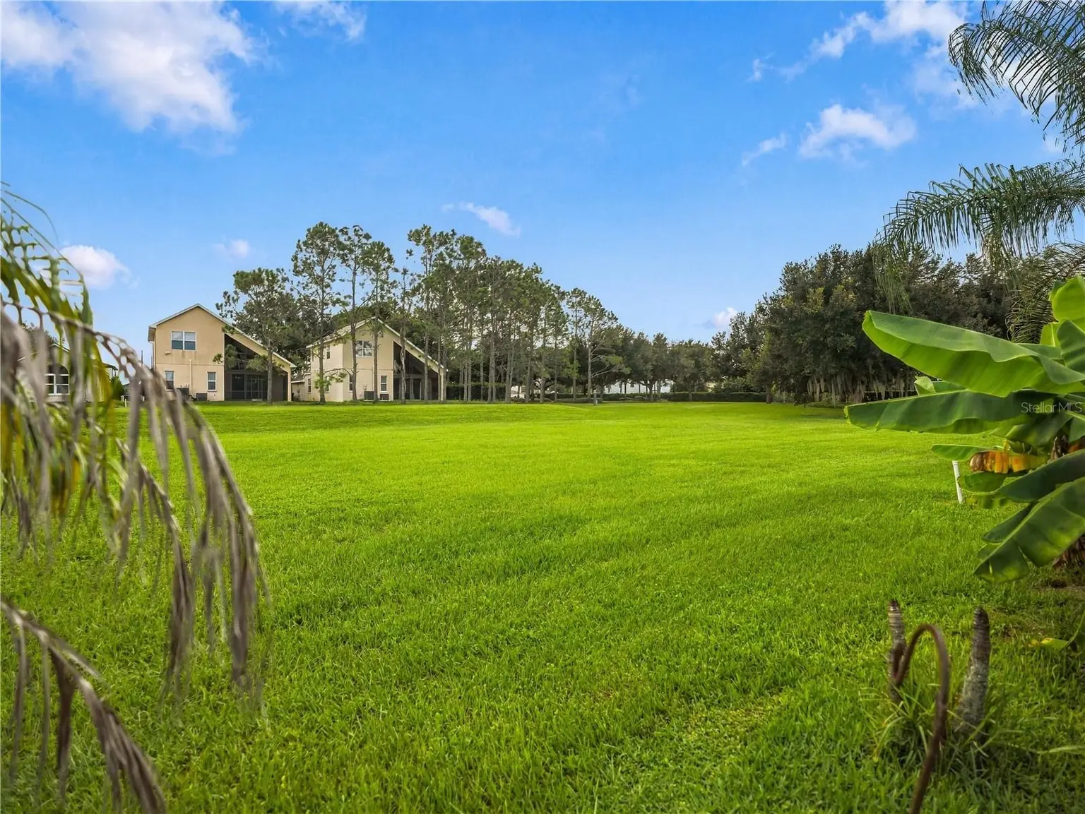 4400 ENGLISH TURN WAY, WESLEY CHAPEL, FL, photo 37 of 50