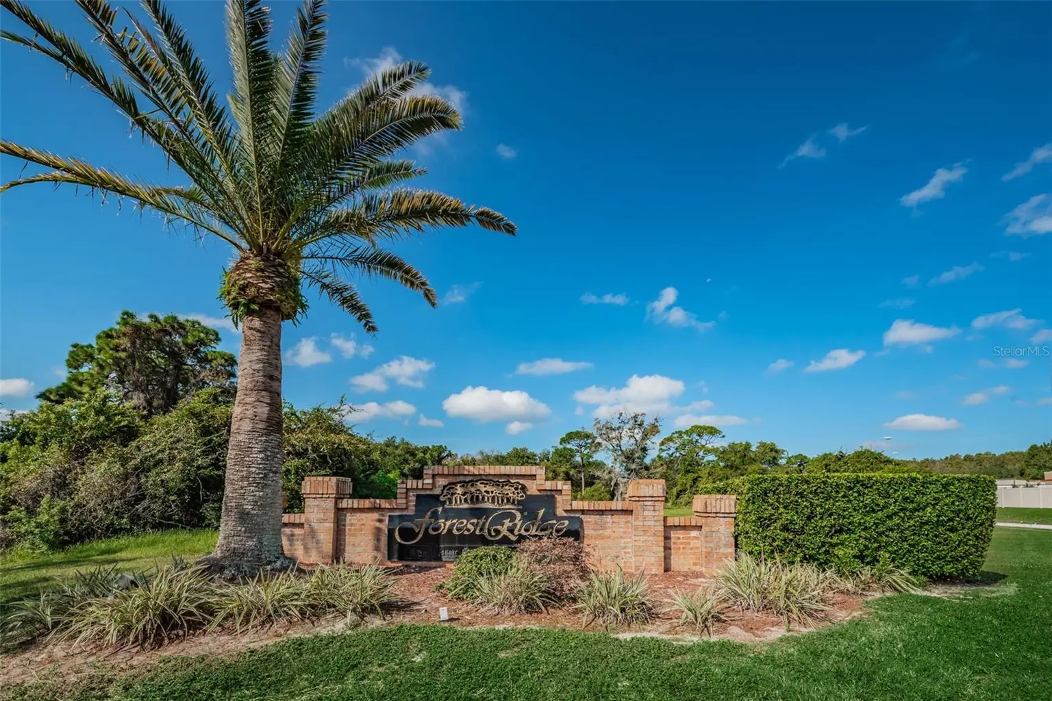 1783 WOOD BROOK STREET, TARPON SPRINGS, FL, photo 54 of 60
