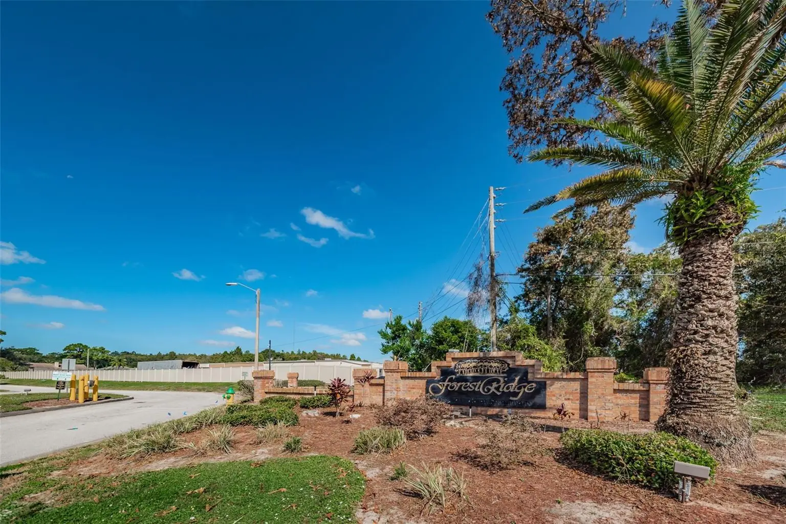 1783 WOOD BROOK STREET, TARPON SPRINGS, FL, photo 58 of 60