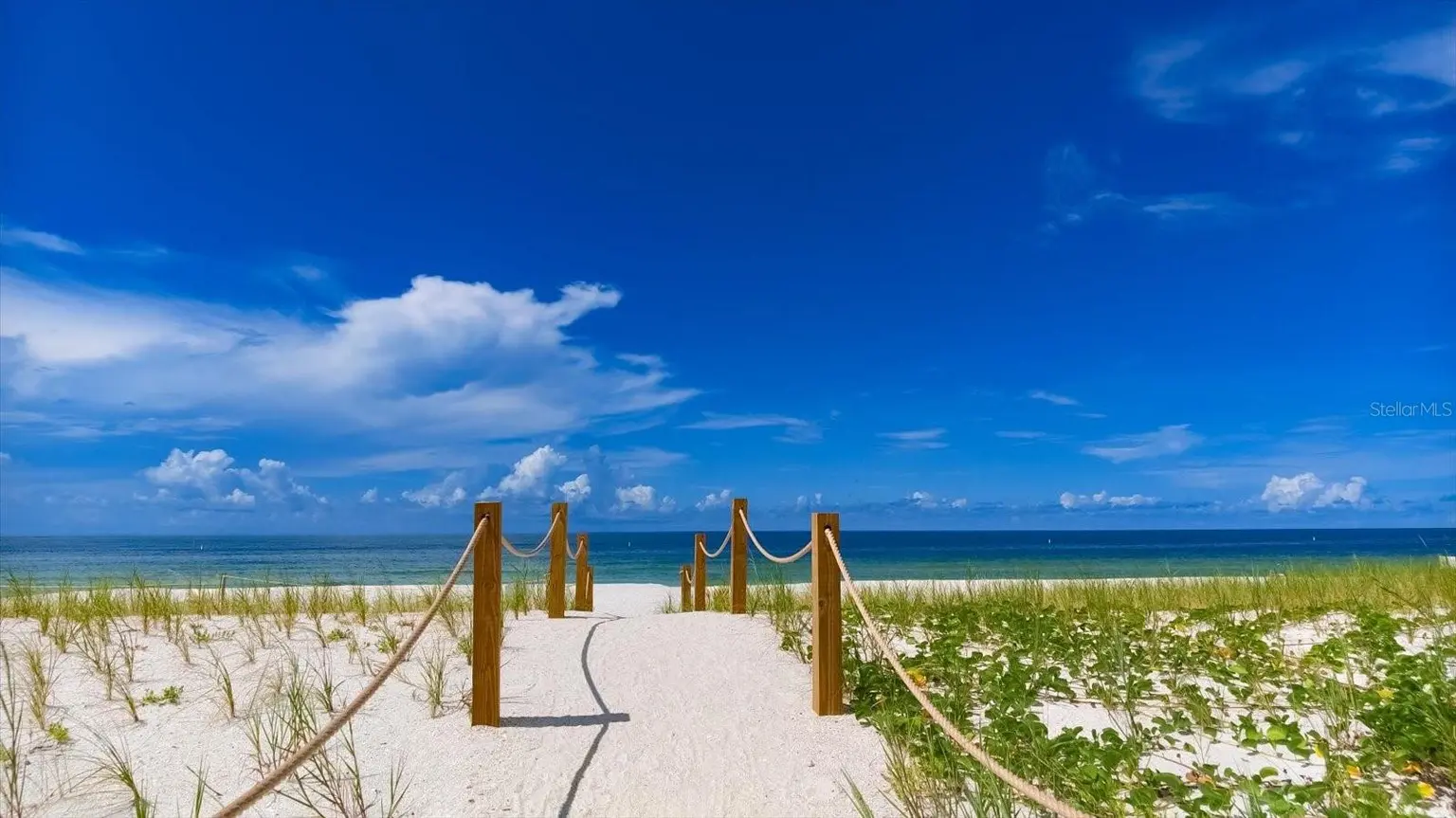 31 81ST AVENUE, TREASURE ISLAND, FL, photo 59 of 68