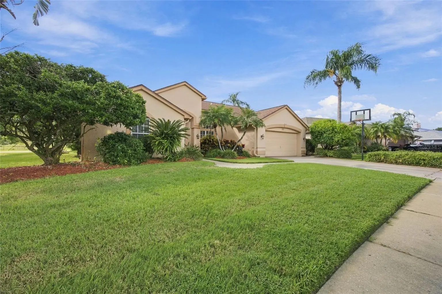 878 CENTERWOOD DRIVE, TARPON SPRINGS, FL, photo 1 of 30