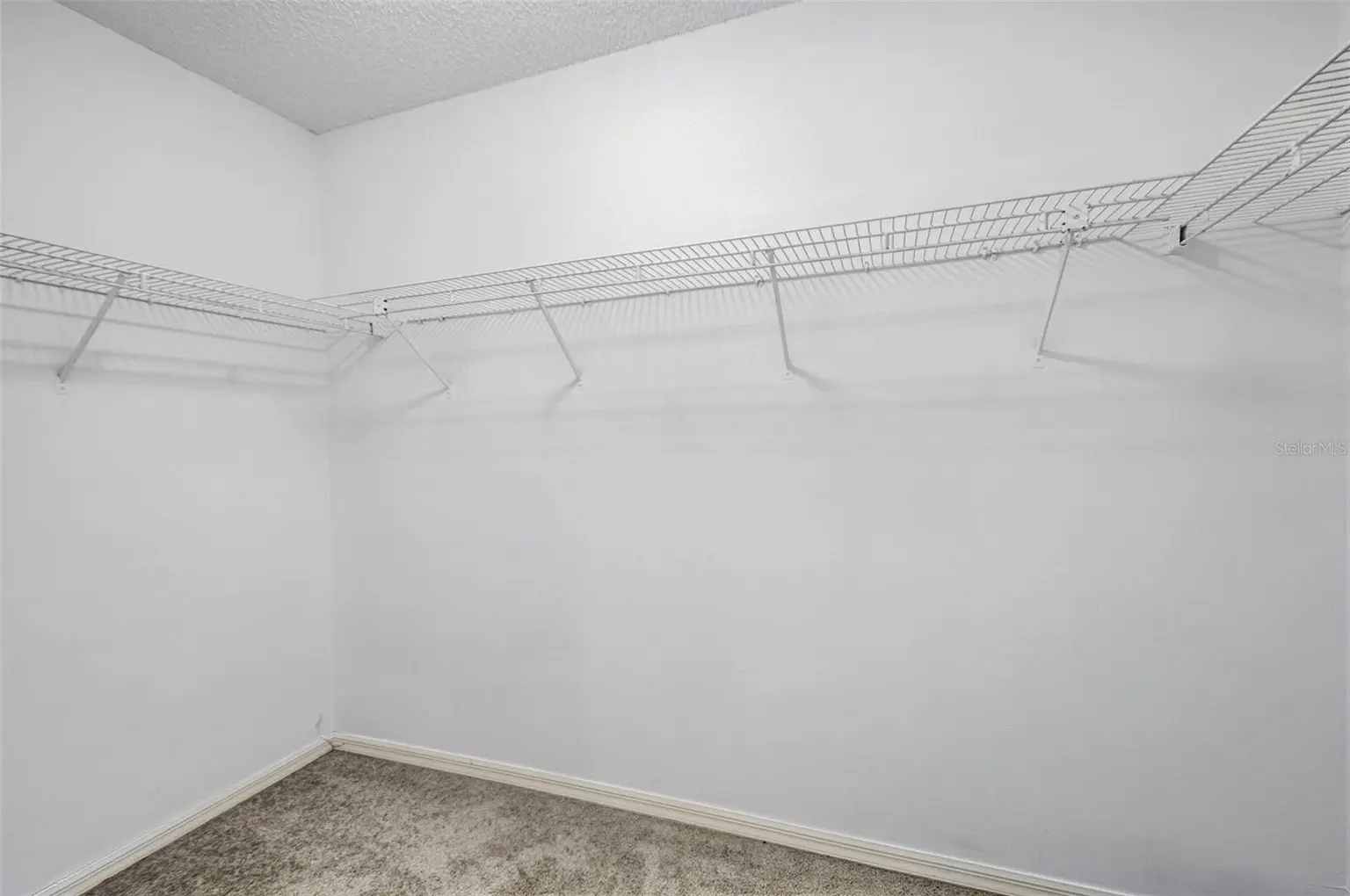 9006 DIXIANA VILLA CIRCLE, TAMPA, FL, photo 50 of 75