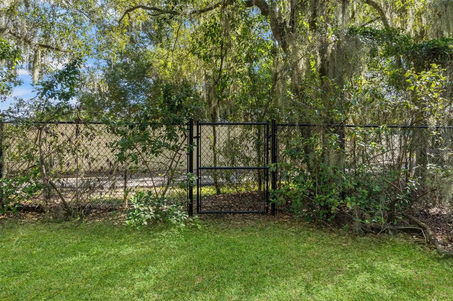 6029 HAMMOCK HILL AVENUE, LITHIA, FL, photo 54 of 67