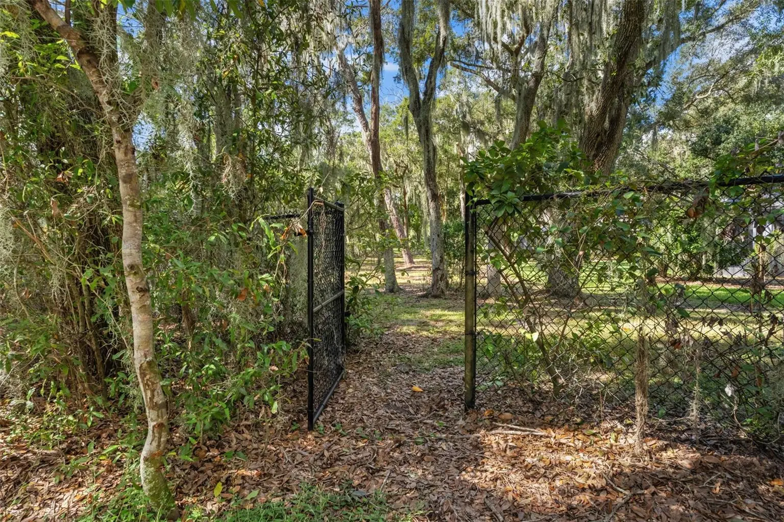 6029 HAMMOCK HILL AVENUE, LITHIA, FL, photo 55 of 67